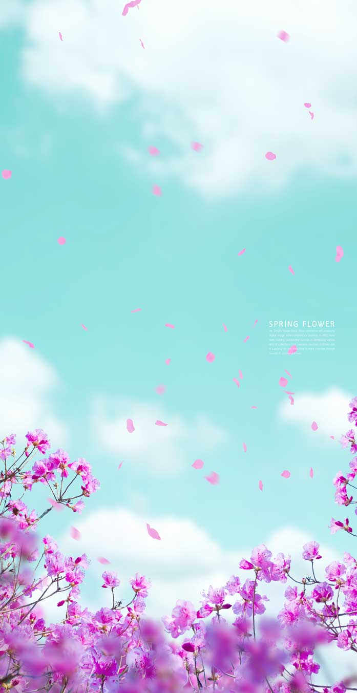 蓝天花瓣手机壁纸背景素材