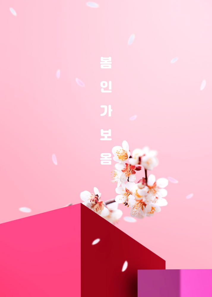 花朵花瓣春季海报设计模板