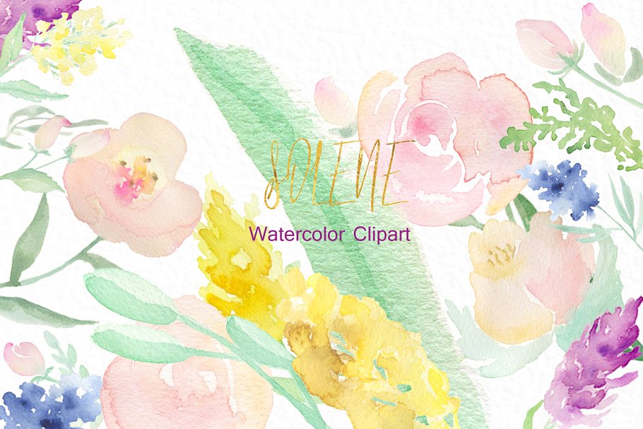 精致的水彩花卉logo设计 Soft pinkWatercolor flowers