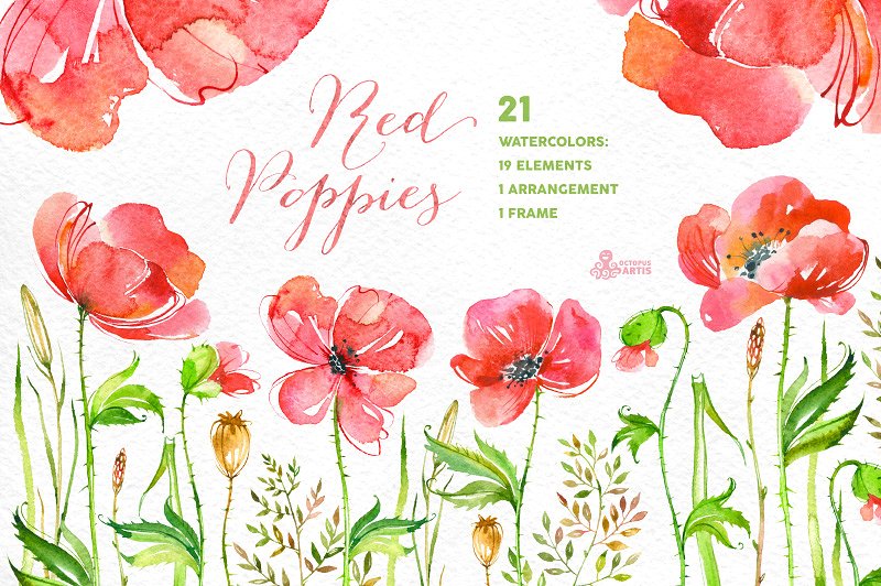 手绘水彩花卉logo设计 Red Poppies. Floral collection