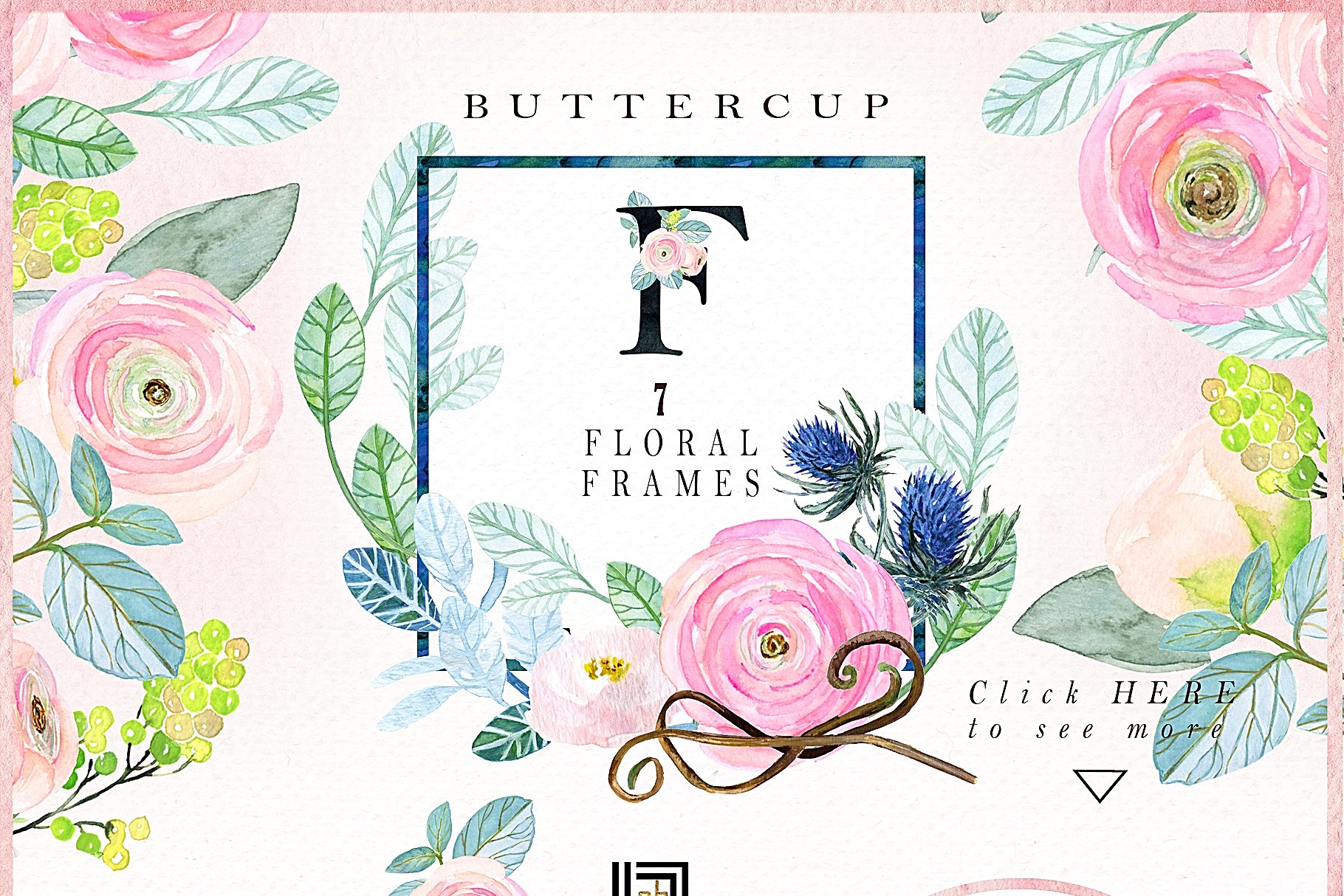 粉红色毛茛属水彩剪贴画 Buttercups. Ranunculus soft pink.