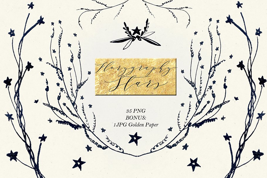 星星树枝元素的图形素材 Florygraphy STARS. Ink images