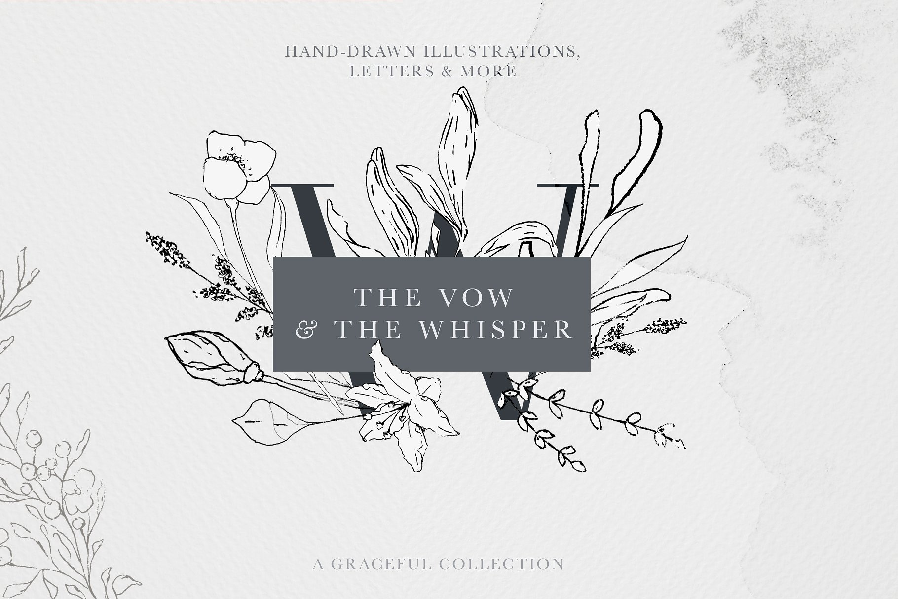 时尚优雅的花卉素材 Floral Alphabet & Illustrations