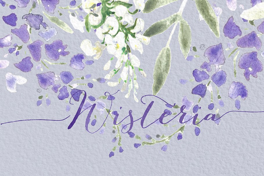 紫藤水彩画图形 Wisteria wedding watercolors