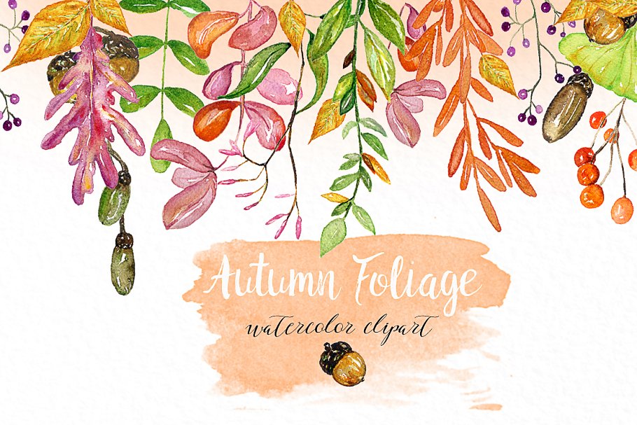 秋季花卉水彩素材包 Autumn foliage. Watercolor images.