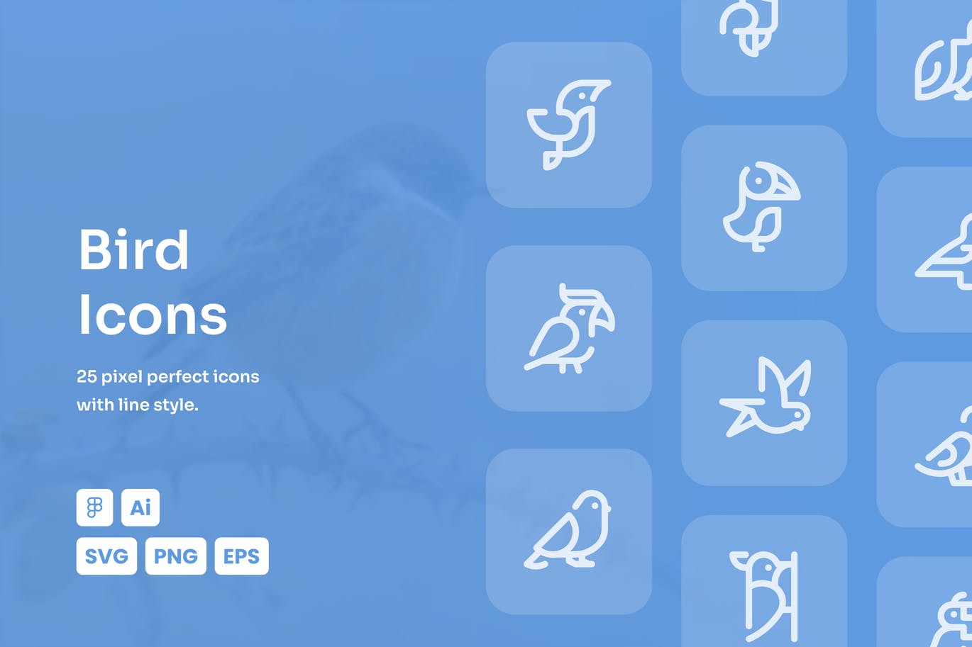 鸟主题的图标下载