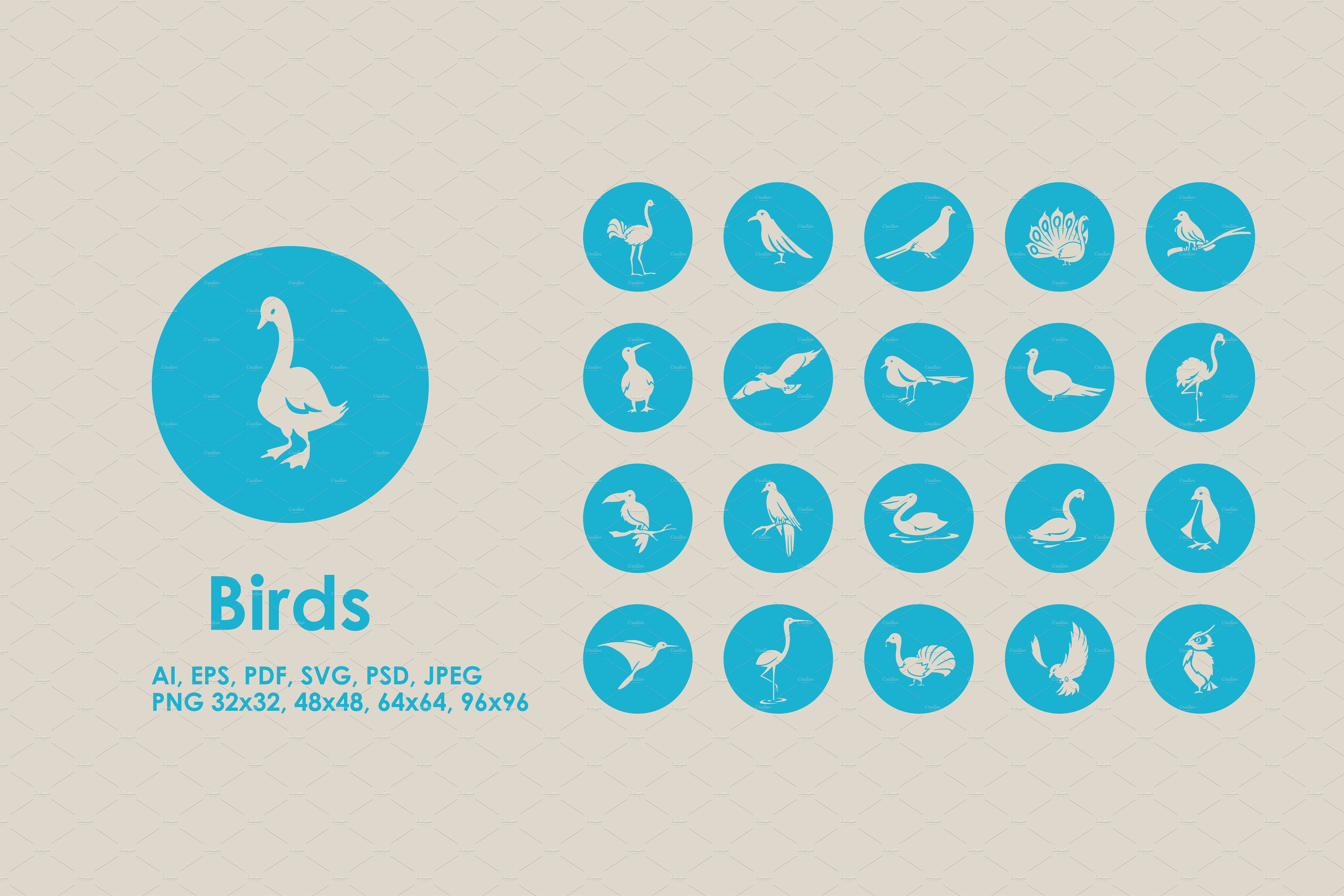 鸟类图标素材 Birds icons