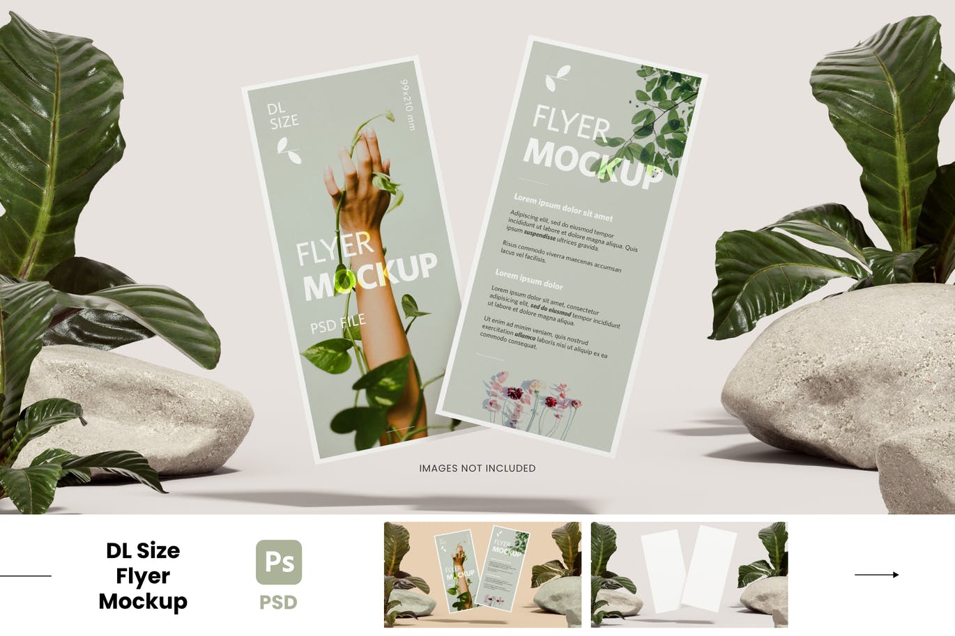 植物元素DL尺寸传单手册样机素材 DL Flyer with Plants – Realistic Mockup