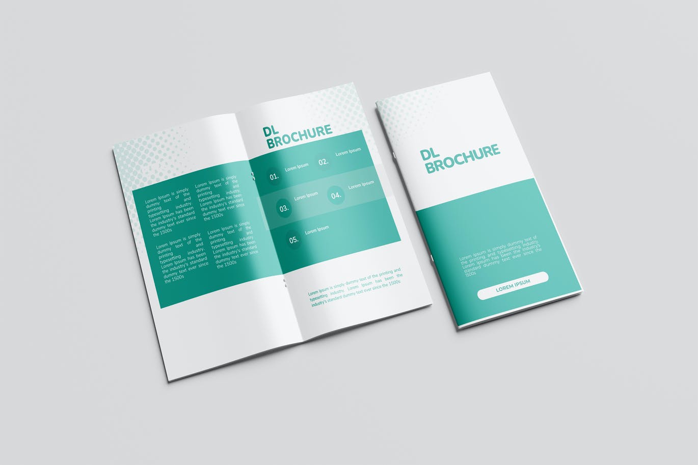 DL尺寸广告手册设计样机 DL Brochure Mockup