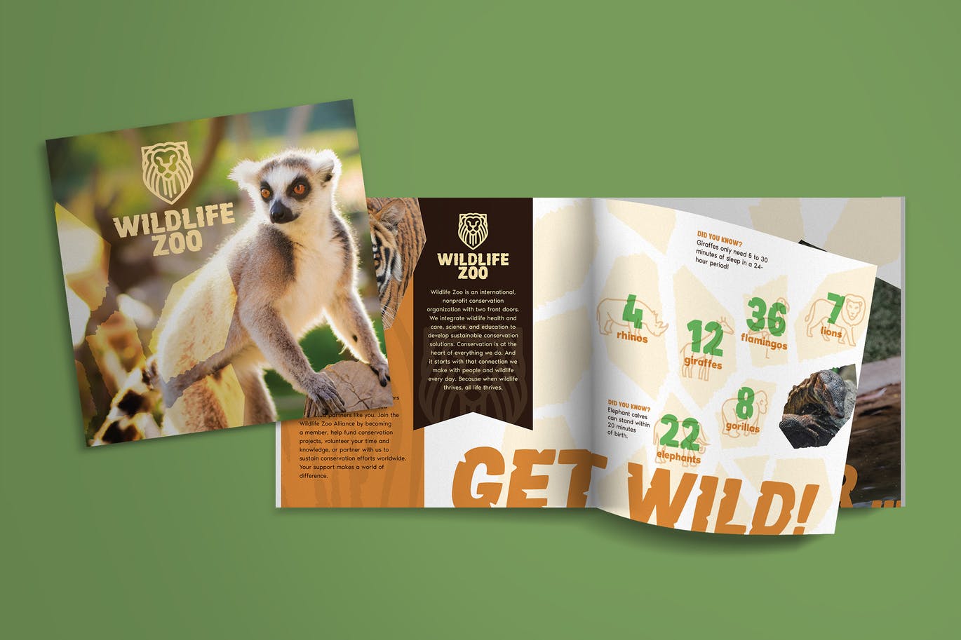 方形小册子宣传册设计样机模板 Square Brochure Mockup