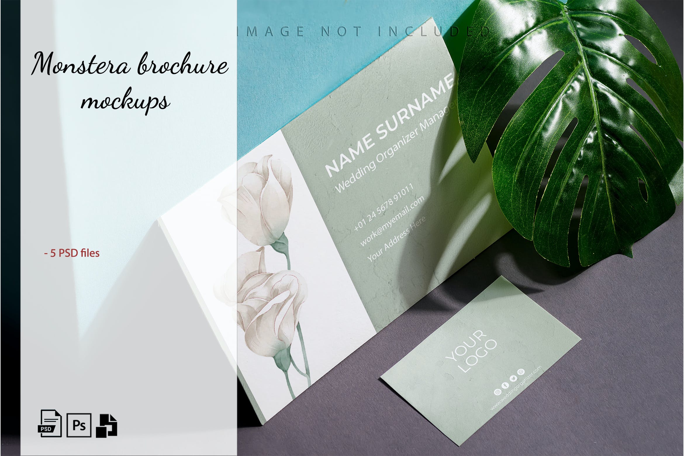 龟背竹装饰广告小册子设计样机模板 Monstera brochures mockup set