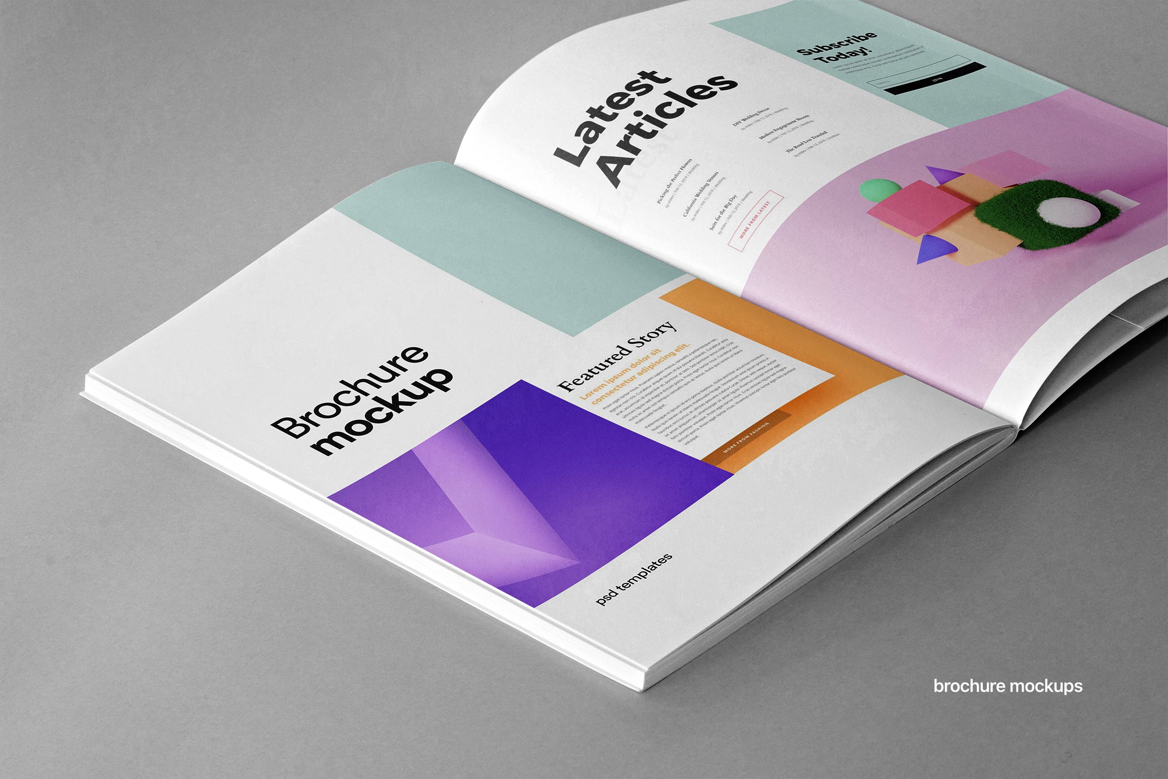 杂志目录宣传册样机素材 Brochure Mockups