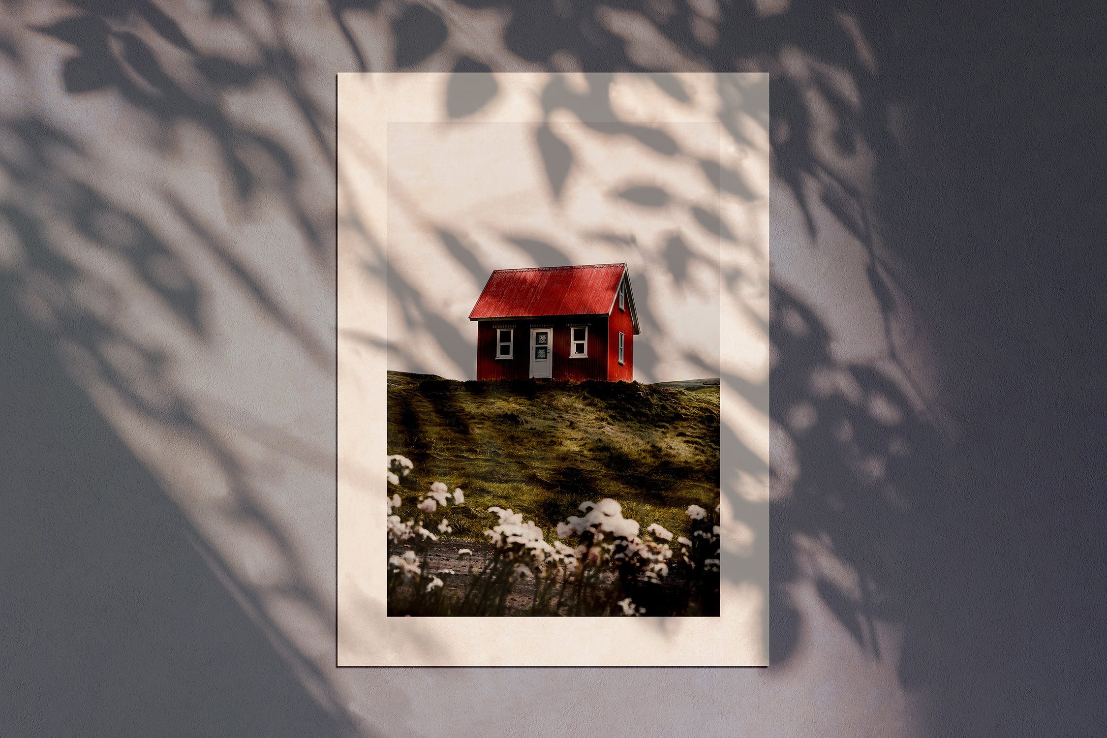 阳光植物阴影海报展示样机素材 Sunny Garden Poster Mockup