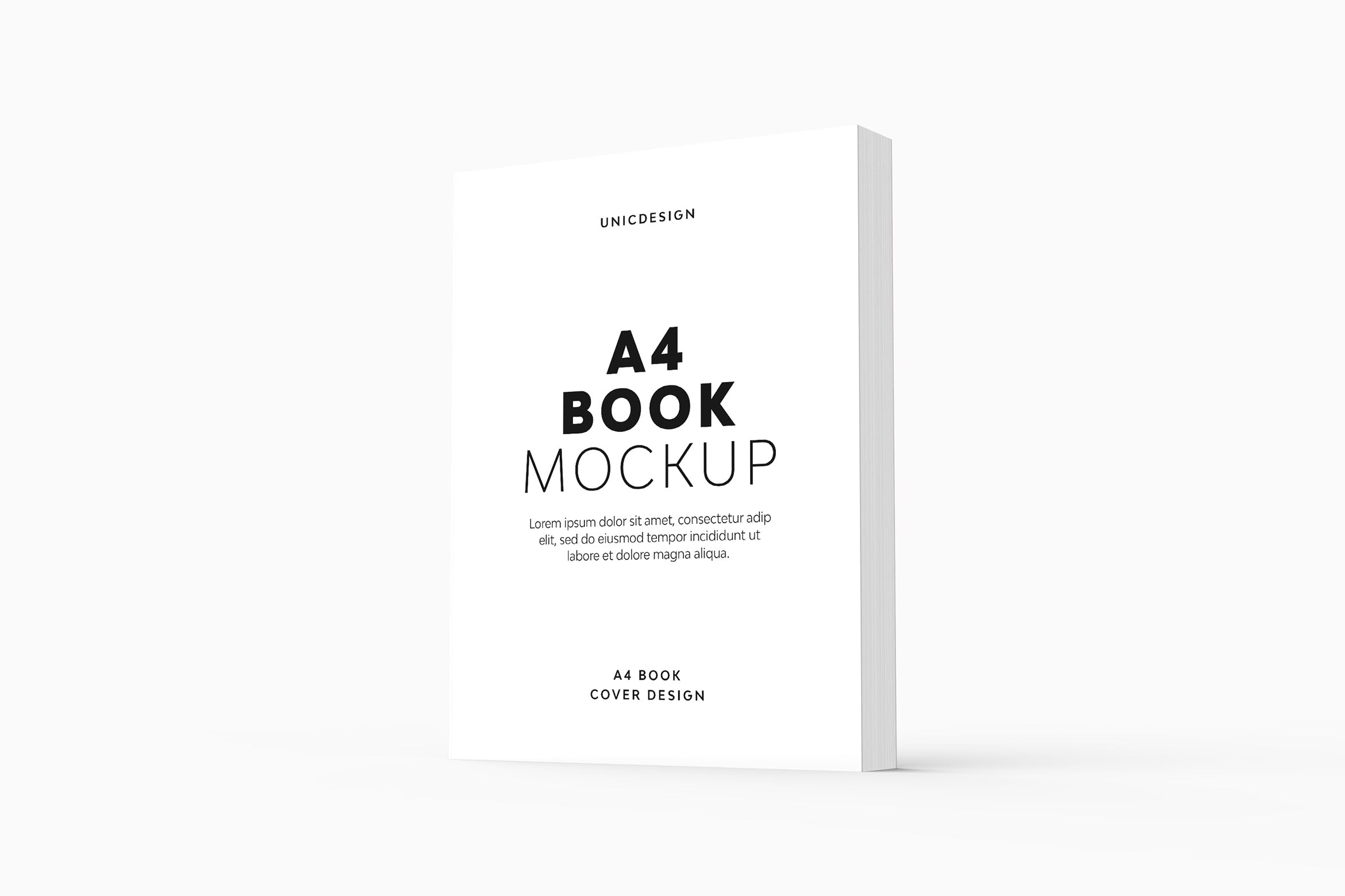 A4尺寸书籍设计展示效果图样机v3 A4 Book Mockup
