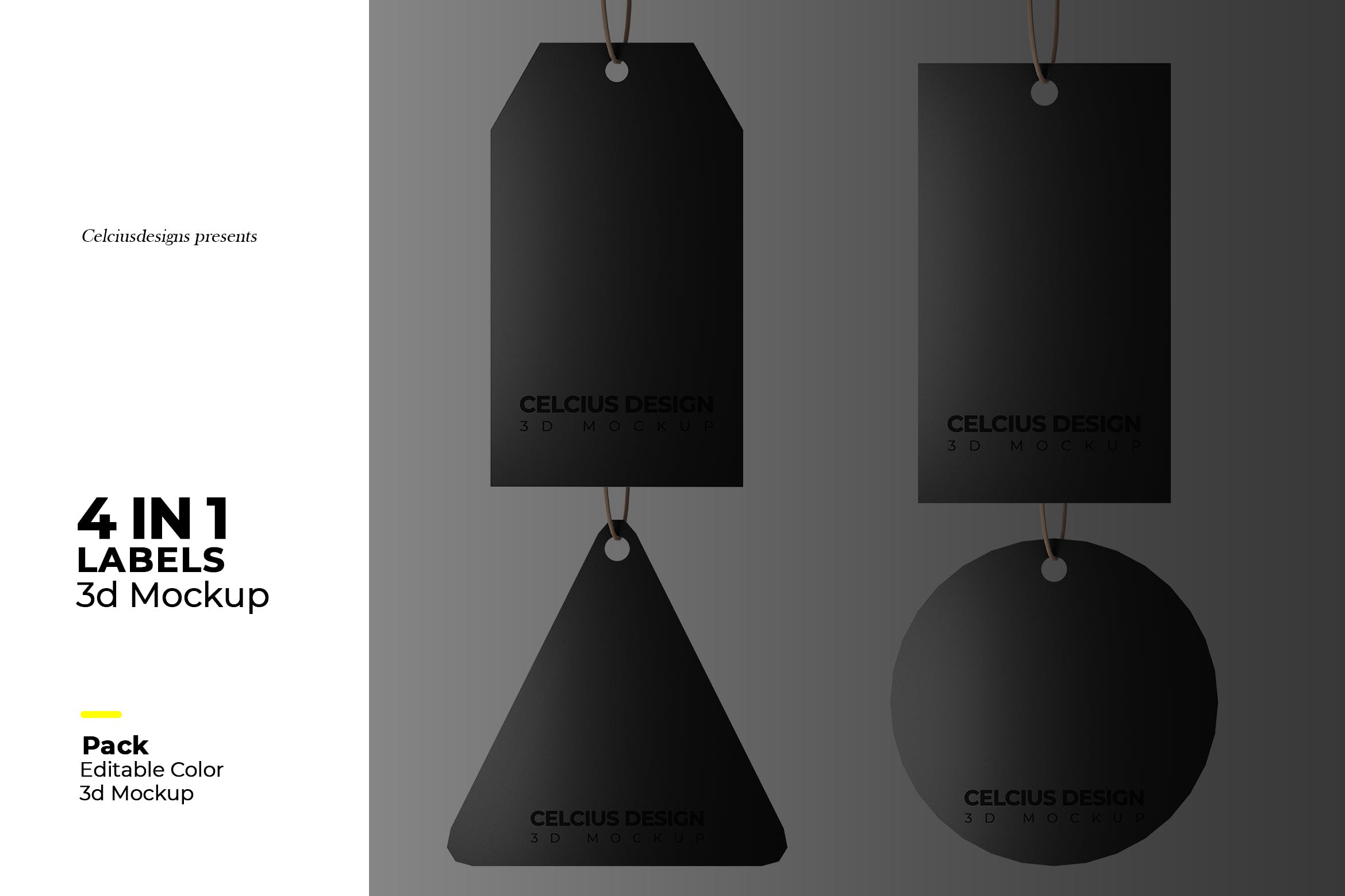 4种形状吊牌标签设计样机模板 Tag Mockup