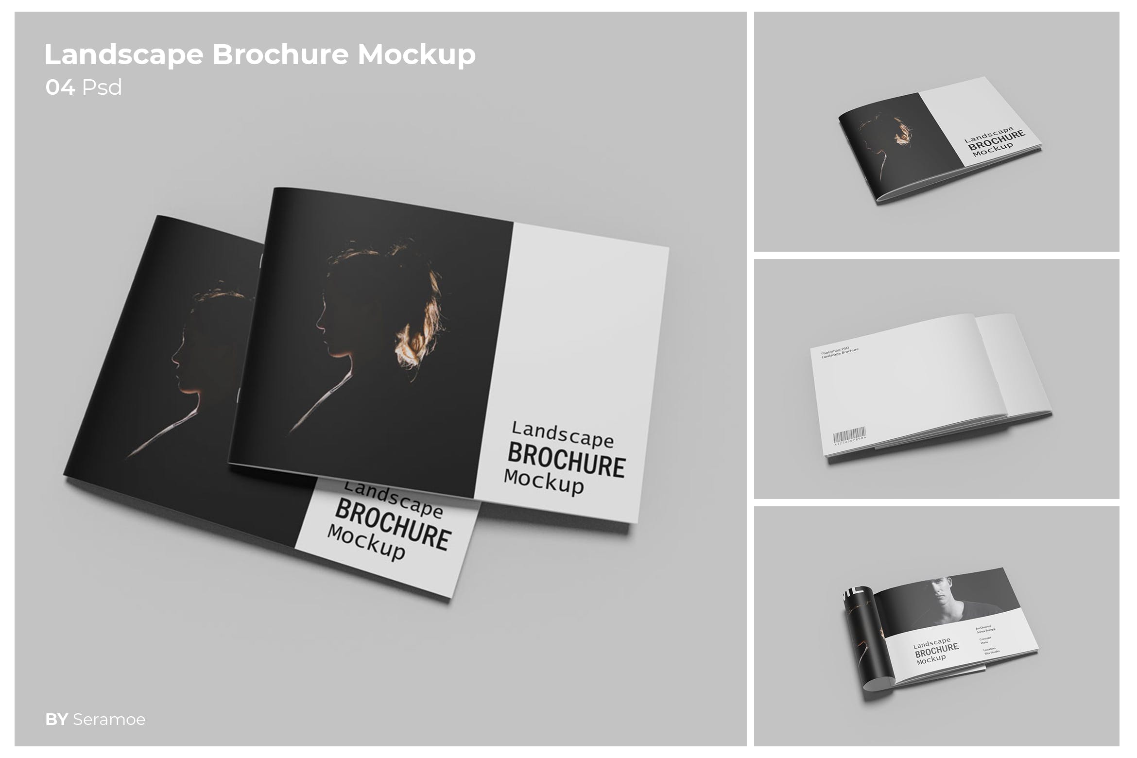 横版小册子/宣传册样机模板 Landscape Brochure Mockup