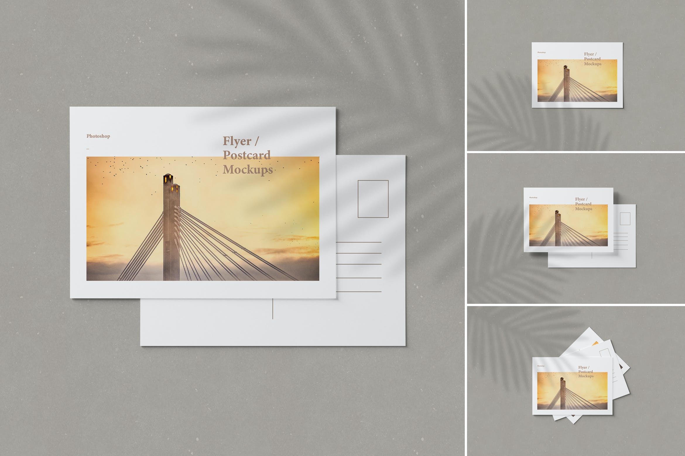 传单/明信片样机模板 Flyer / Postcard Mockups