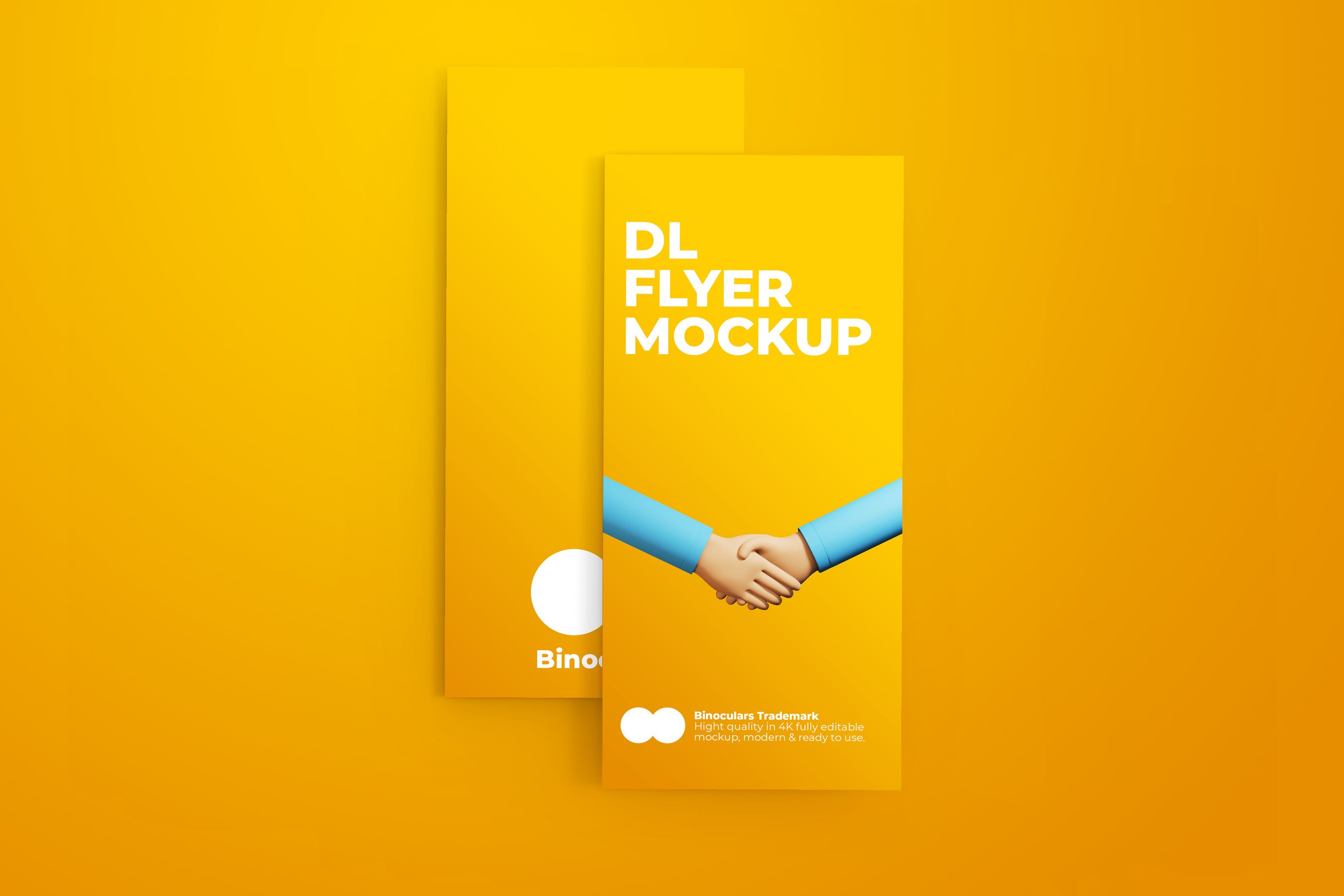 两个DL传单设计样机模板 Two DL Flyer Mockup