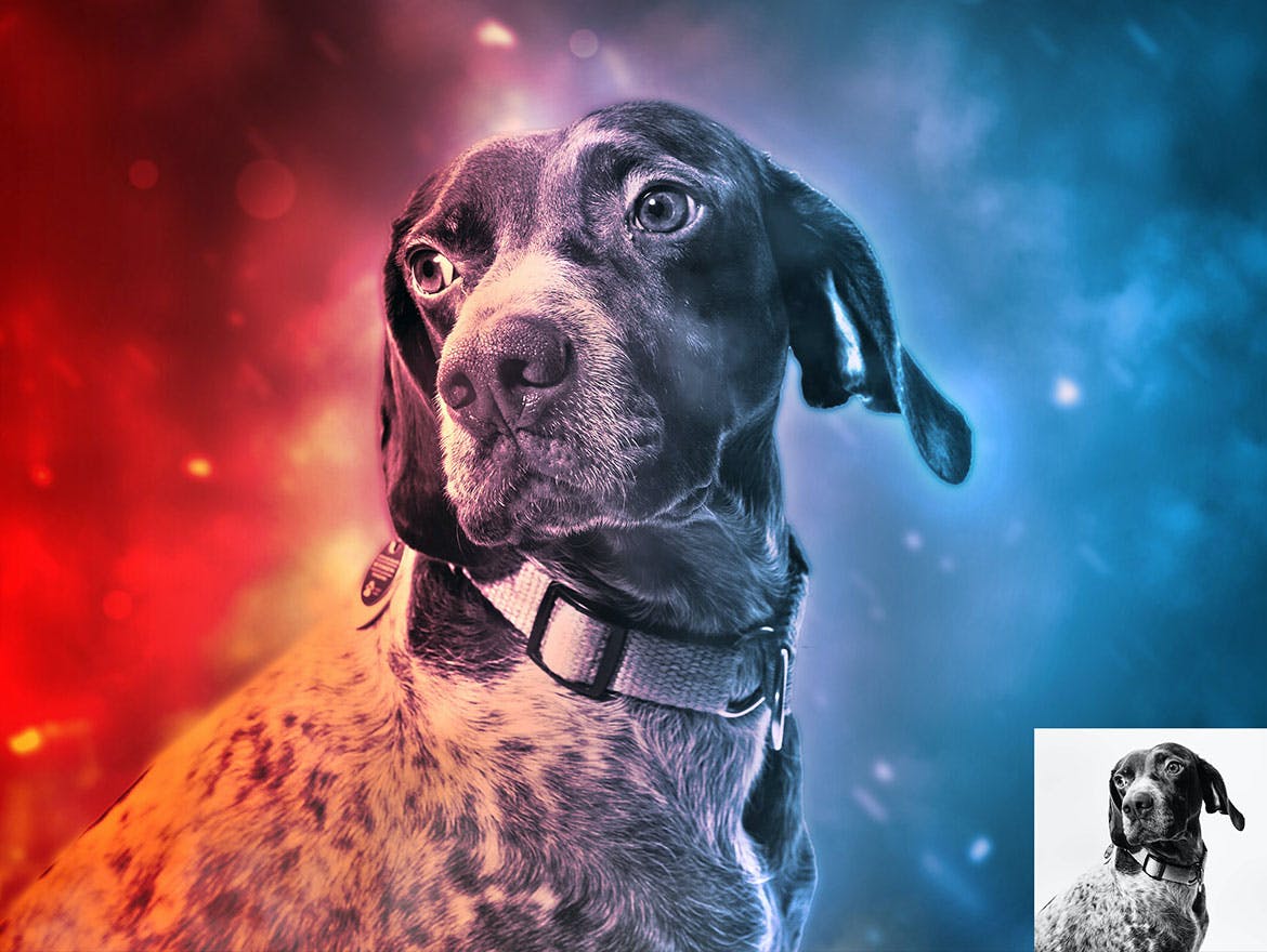 Magico光特效动作样式