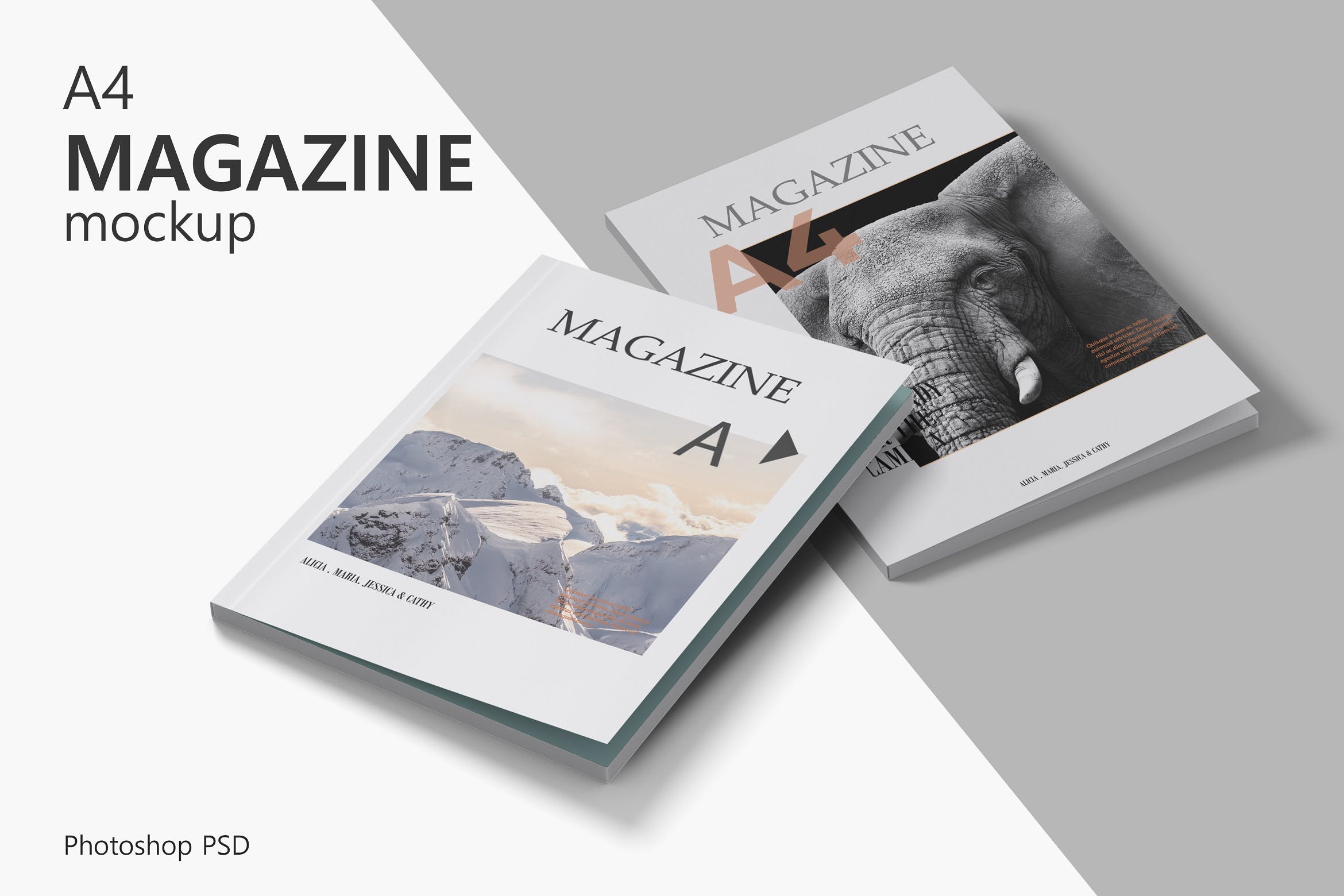 产品画册杂志设计样机 Magazine Mockup