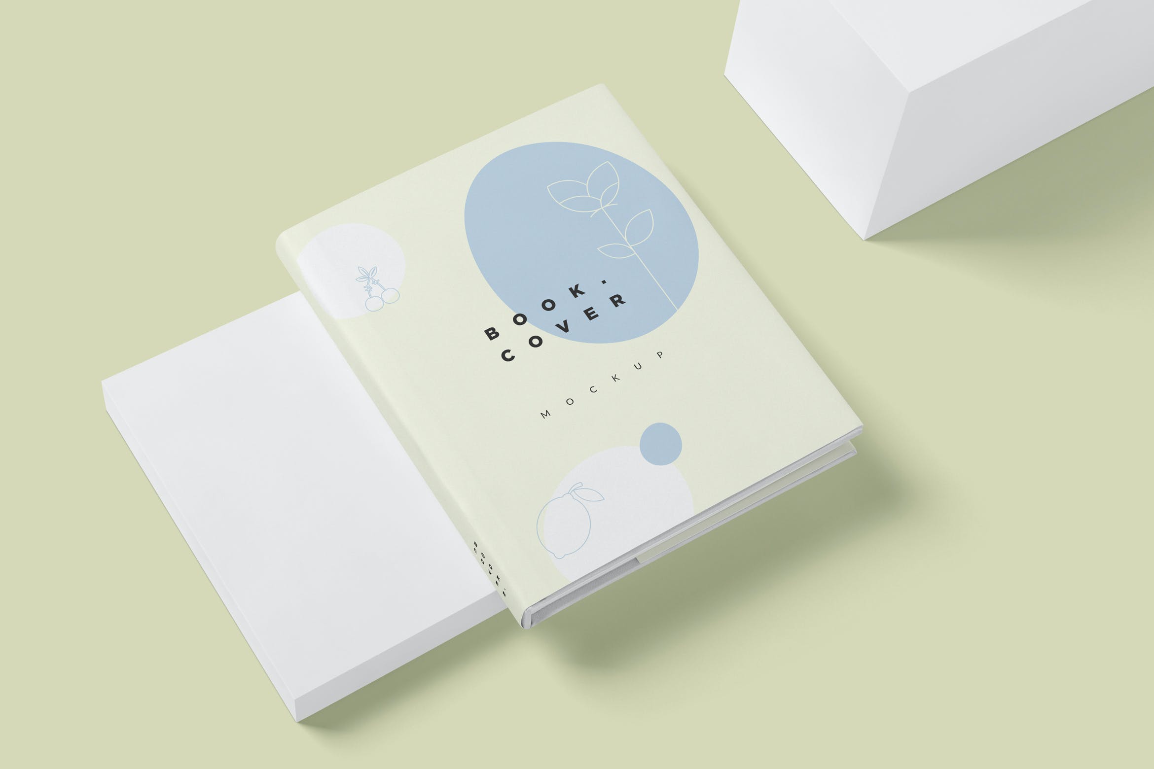 逼真精装书籍封面设计样机图素材 Realistic Book Cover Mockups