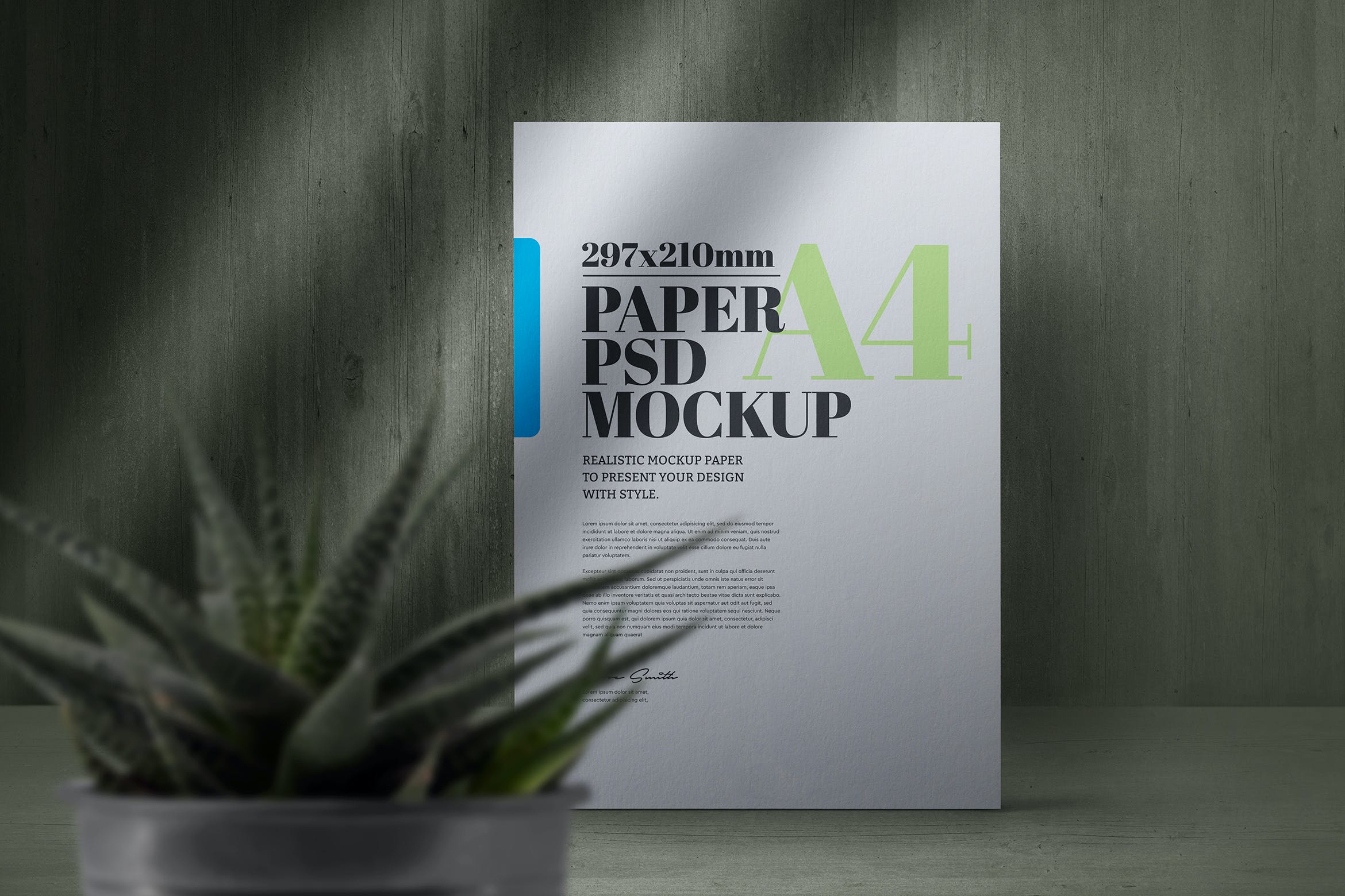 植物阴影场景A4尺寸纸张海报样机素材 A4 Paper Cactus Plant Shadows Scene Mockup