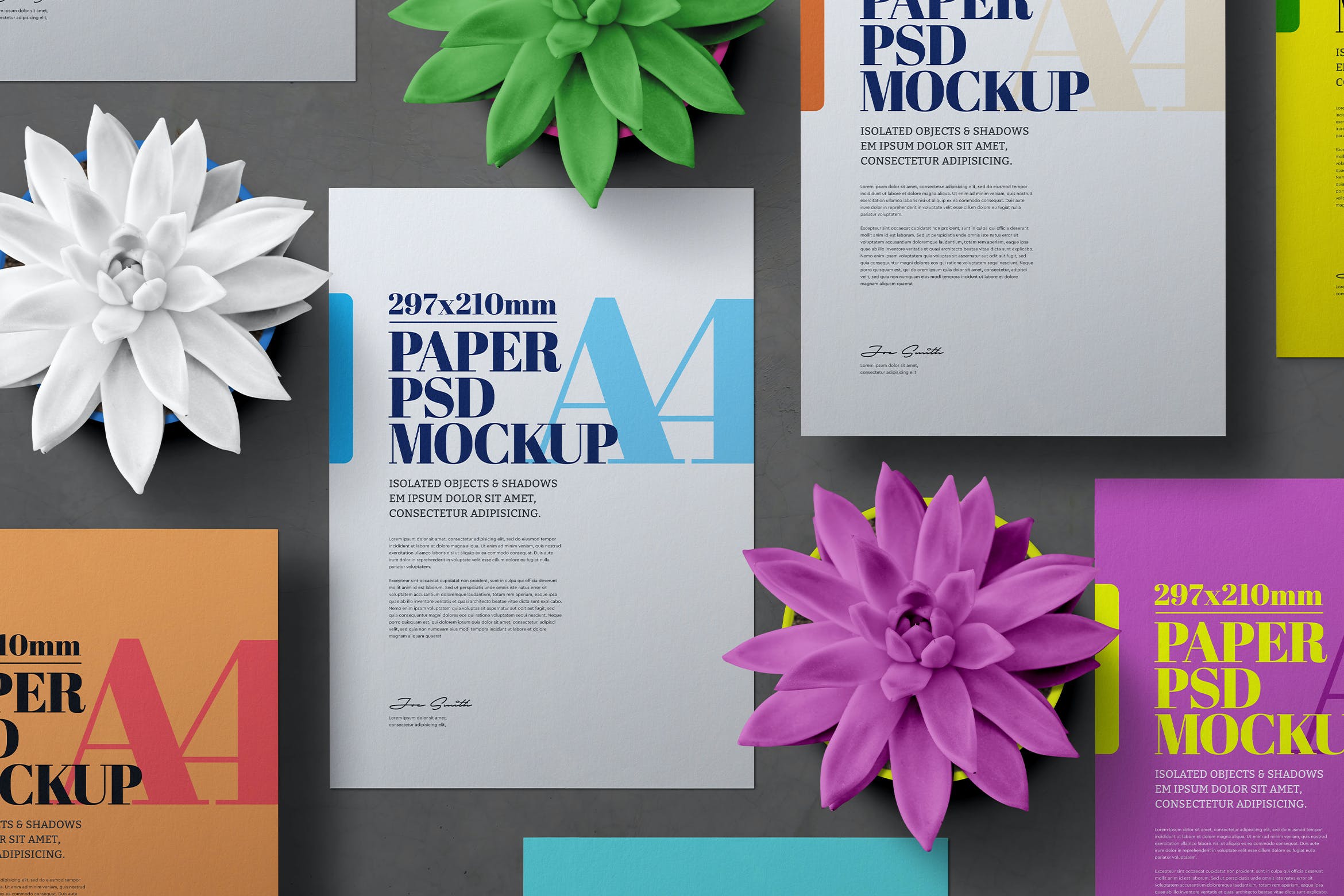 多肉植物A4传单海报样机合集 A4 Flyer Cactus Plant Set Mockup