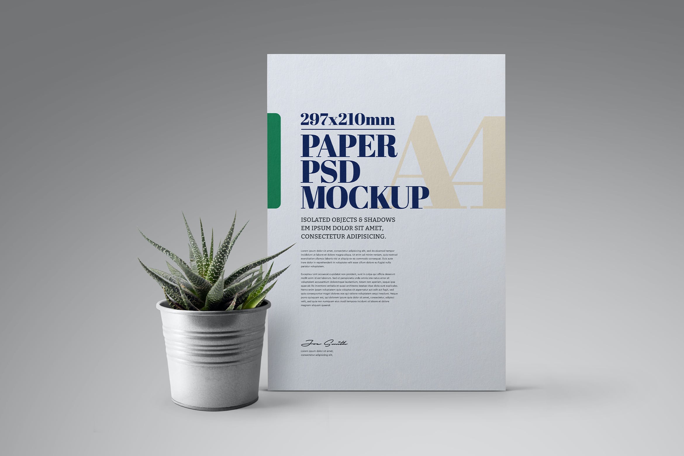 多肉植物A4传单海报前视图样机素材 A4 Flyer Cactus Plant Front View Mockup