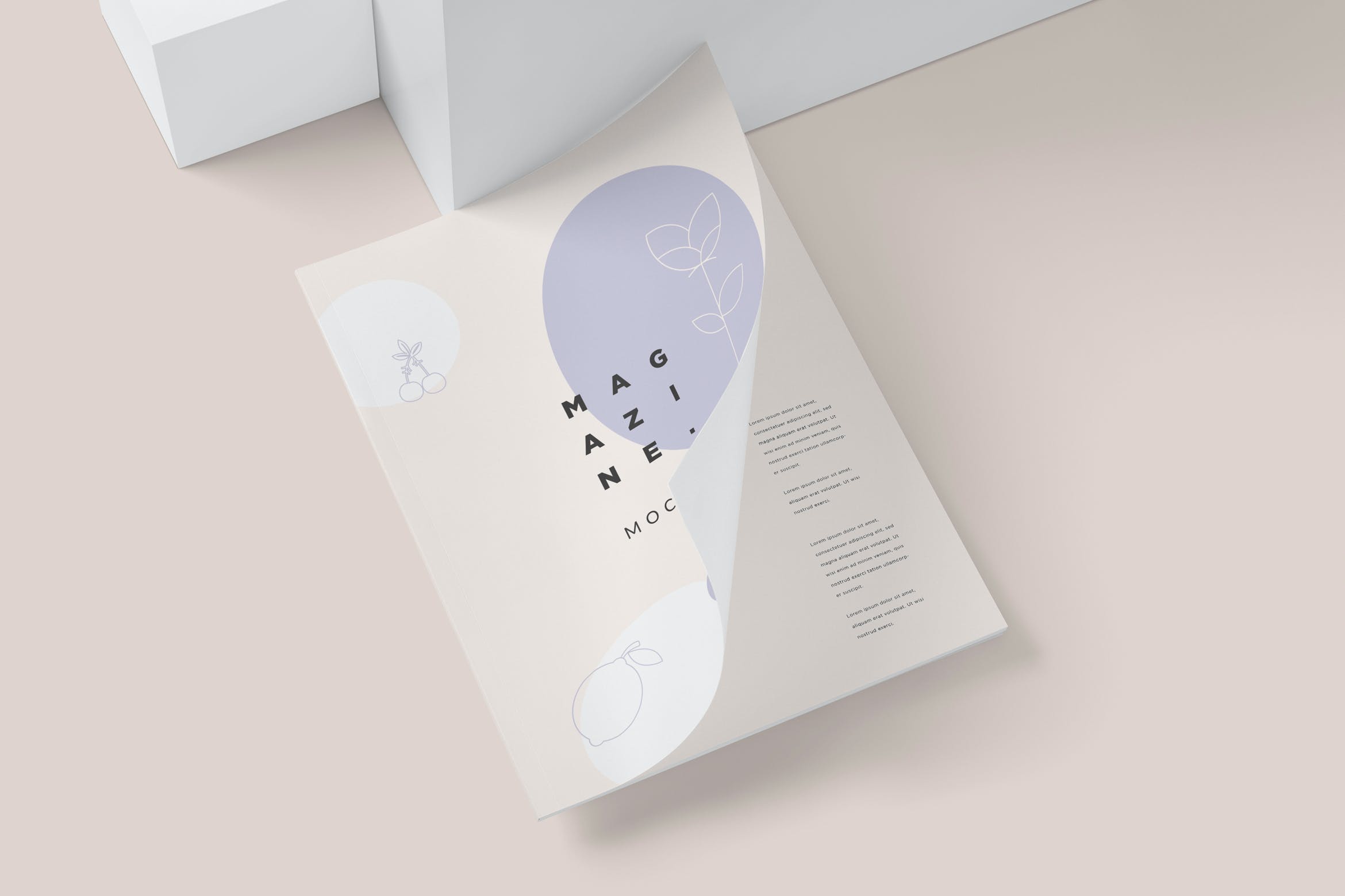 5款产品杂志设计样机图素材 5 Magazine Mockups