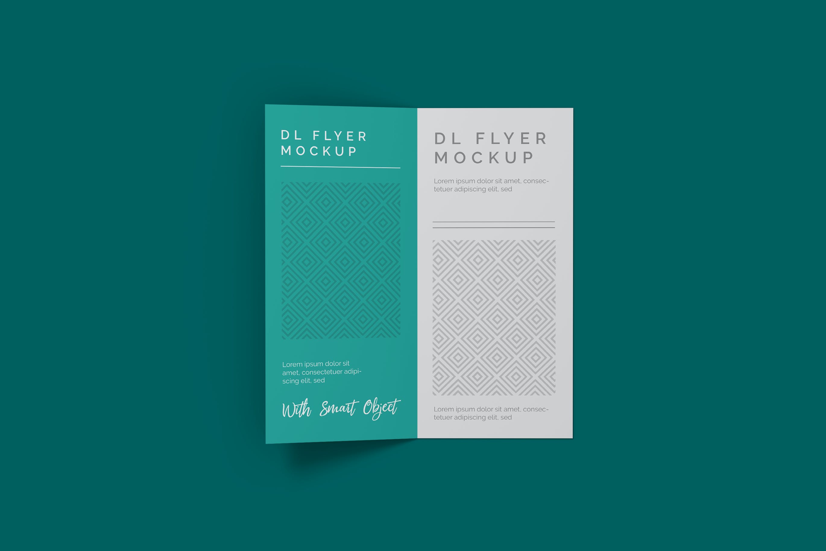 经典仿真双层翻页模型广告宣传页样品 Realistic DL Bifold Flyer Mockup