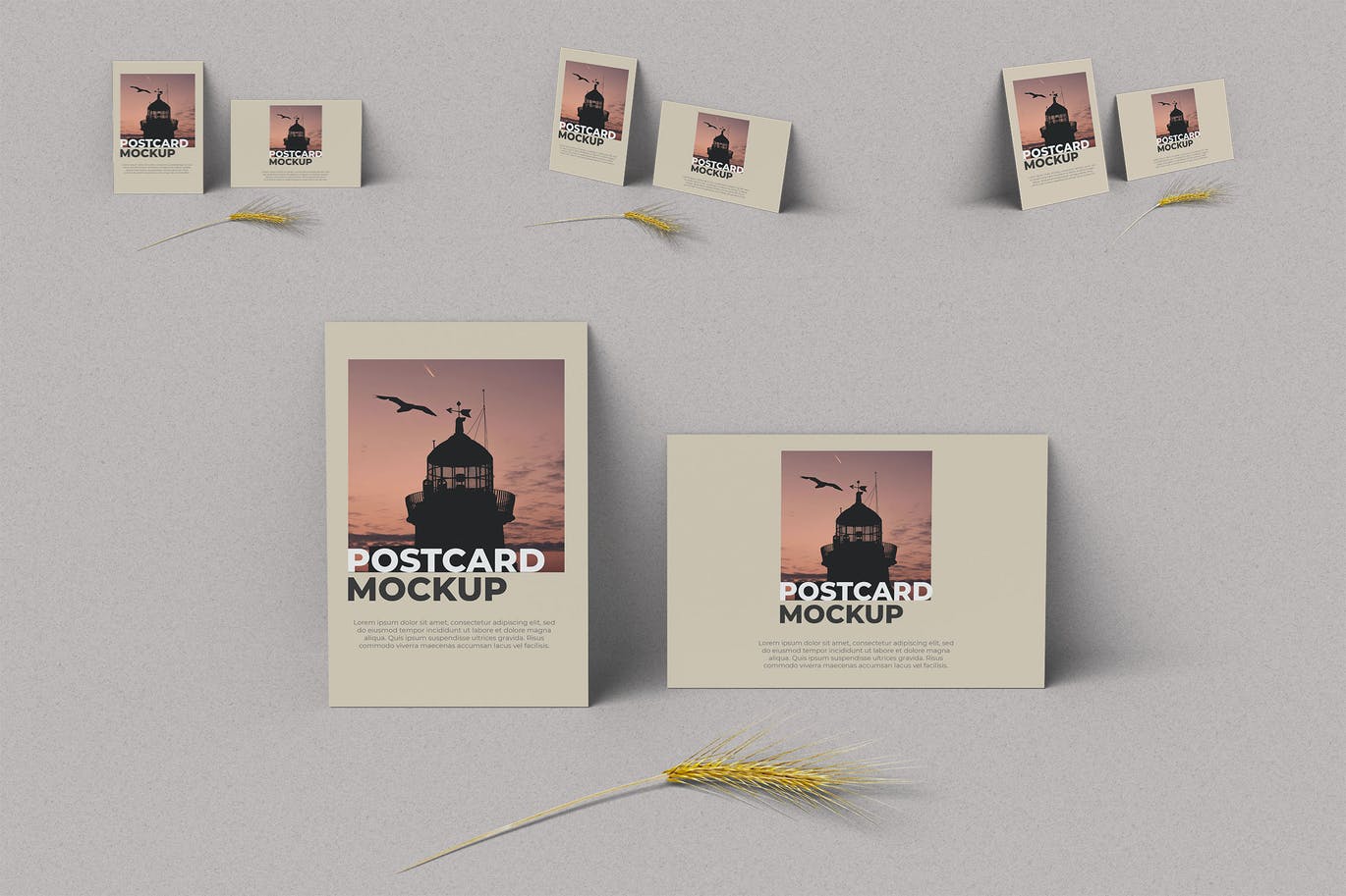 明信片效果图样机Photoshop模板 Postcard Mockup Photoshop Template