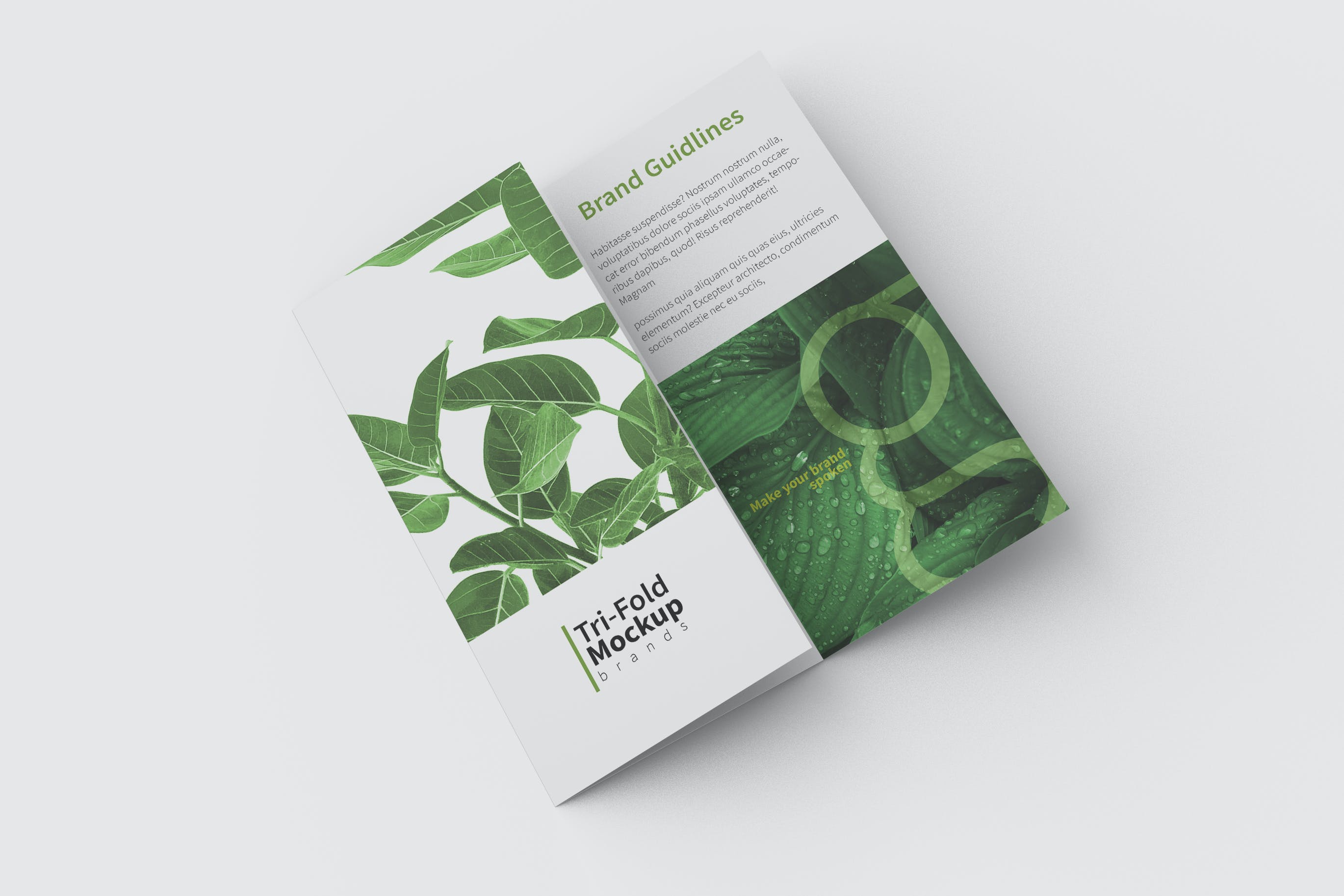 三折页绿植小册子设计顶视图样机 Trifold Mockup Top View