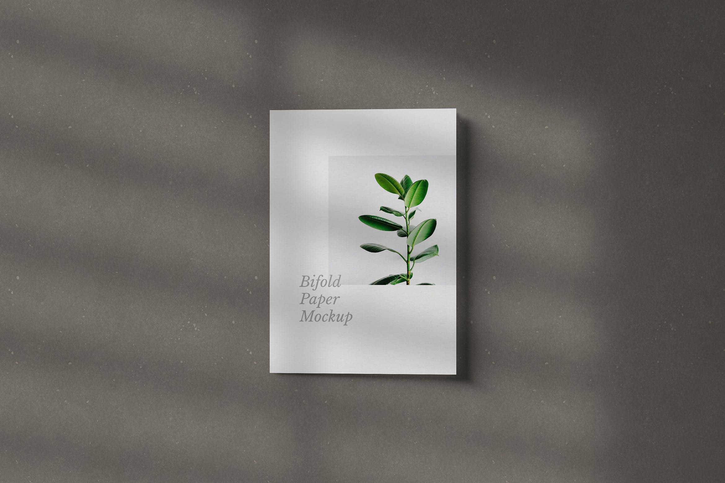 双折页纸质宣传册展示设计样机 Bifold Paper Mockup