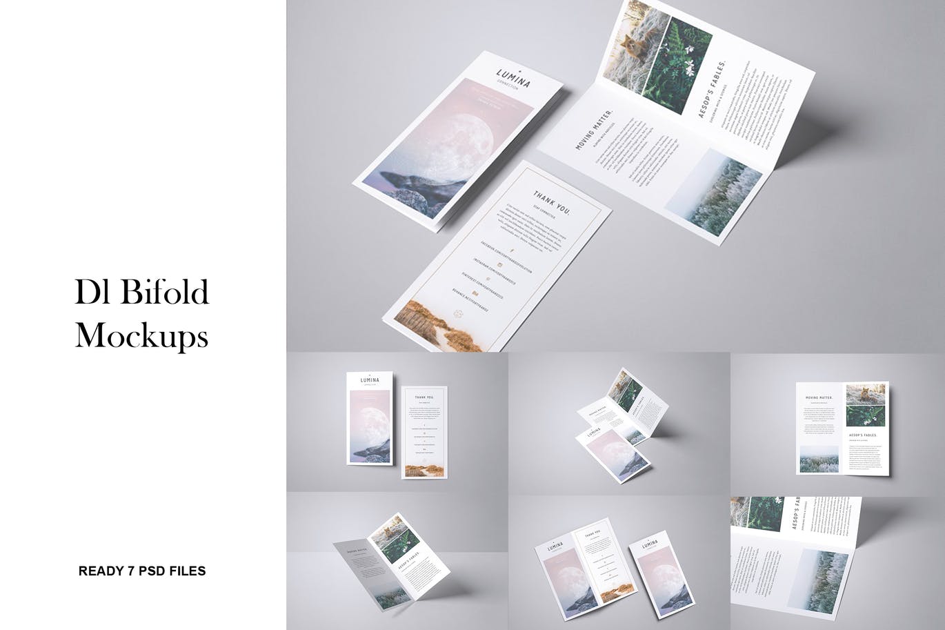 DL尺寸双折页宣传册设计样机 DL Bifold Mockup