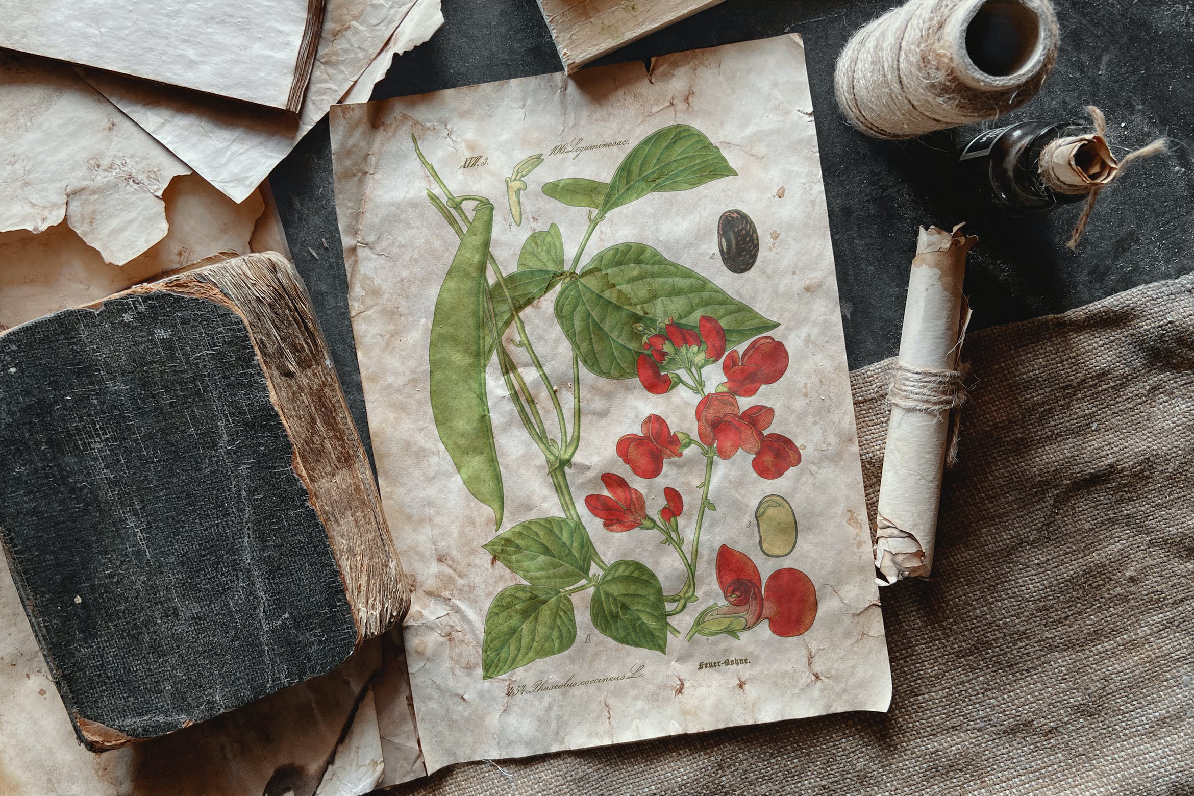 残旧纸张场景样机模板 Old Paper Scene Mockup