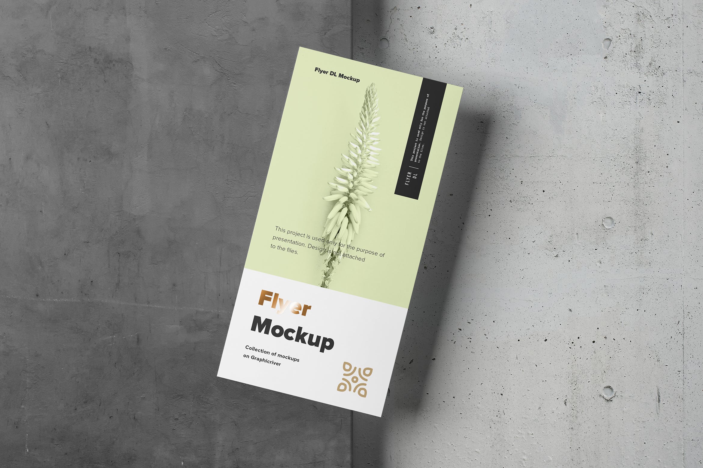 传单设计印刷效果图样机模板 Flyer Mock-up