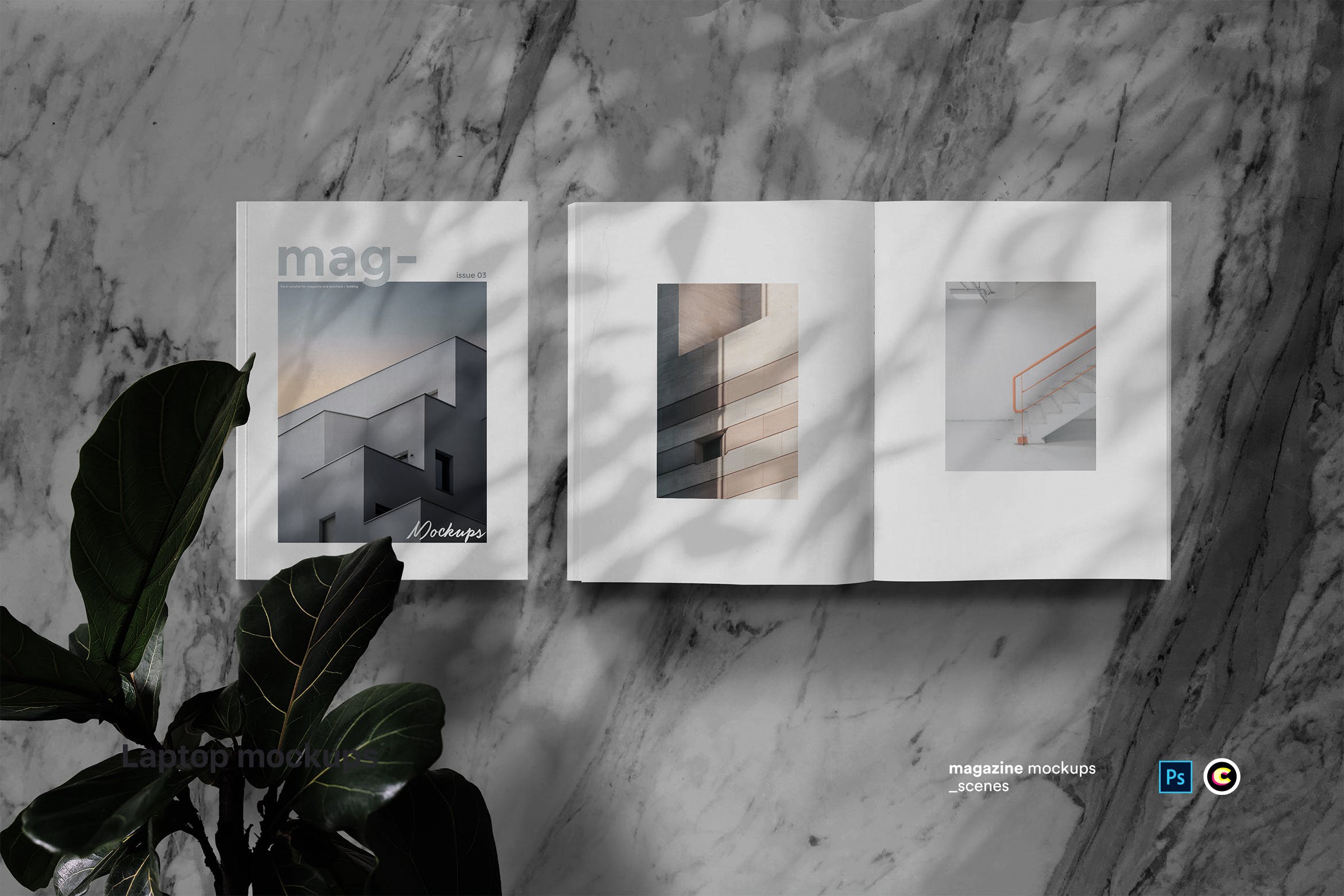 植物阴影大理石背景杂志版式设计预览样机模板 Magazine Mock Up