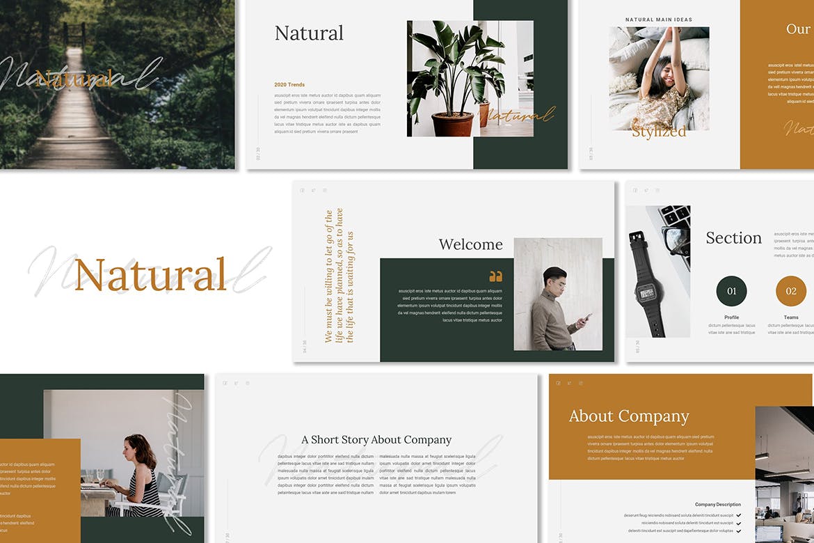 自然内容介绍的PPT模板下载（PPTX）