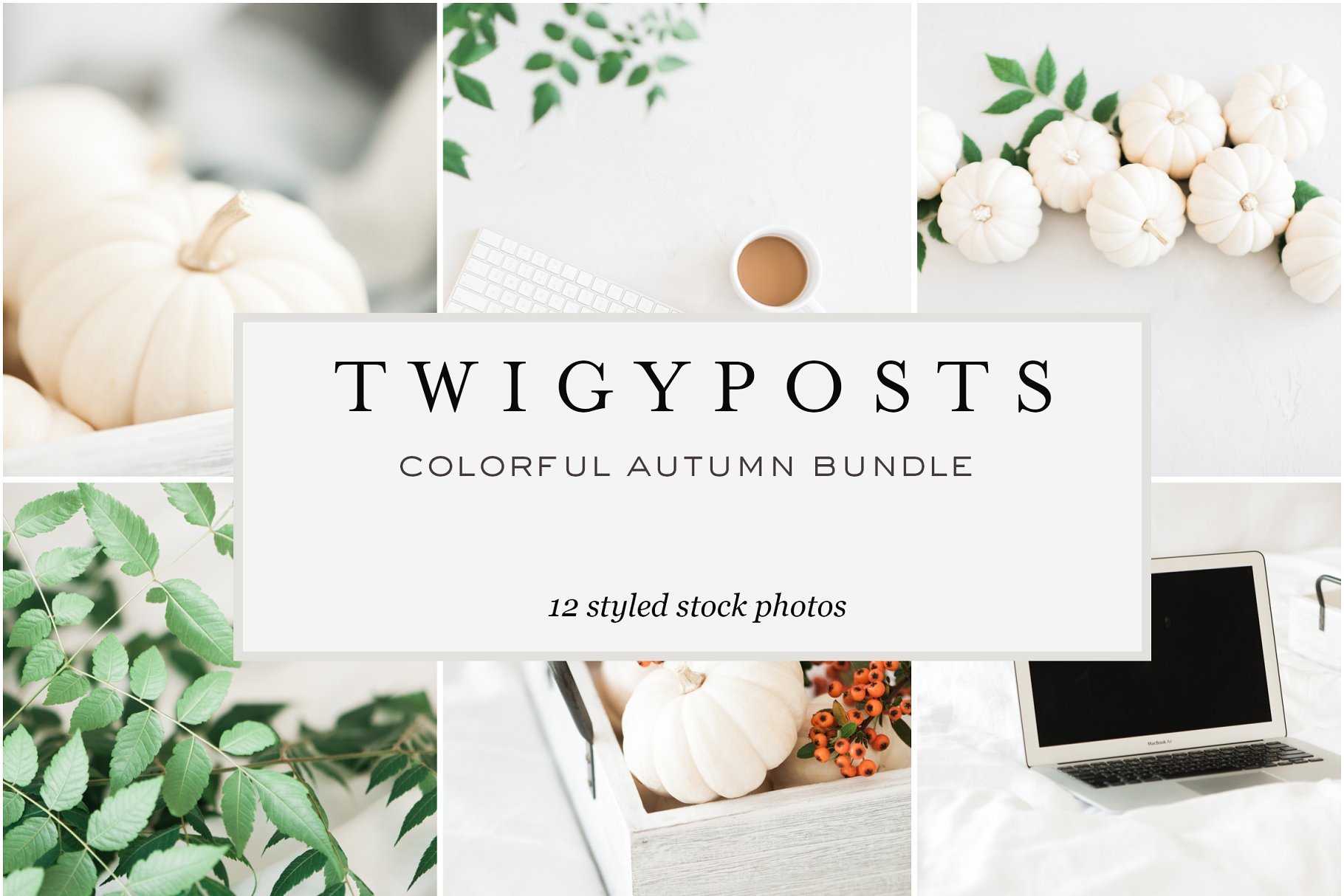 秋季简约实物场景样机模板 Colorful Autumn Stock Photo Bundle