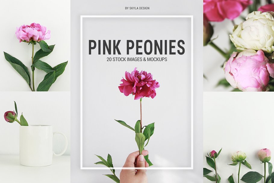 粉红牡丹场景装饰样机模板 Pink peonies stock & mockups