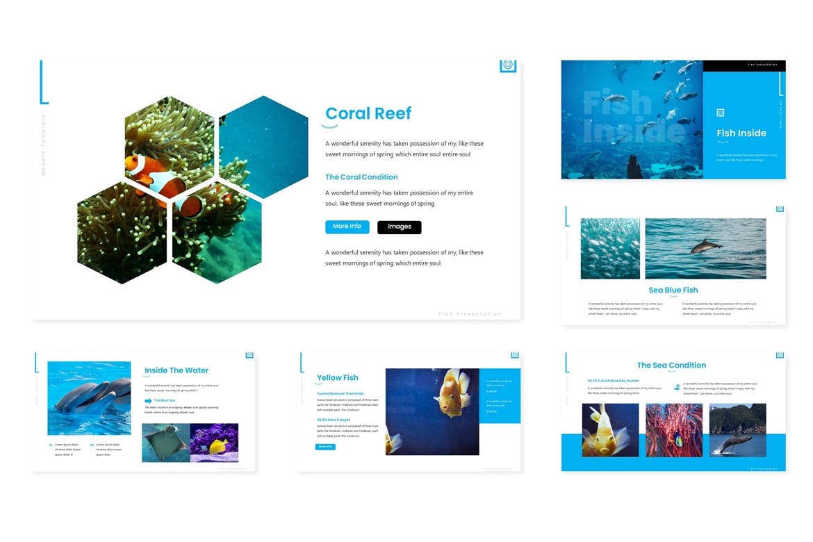 优秀的蓝色系商业计划书PPT模板下载