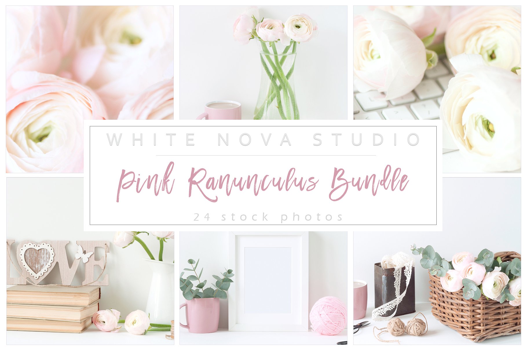 粉红毛茛花卉装饰场景样机 Pink Ranunculus Bundle