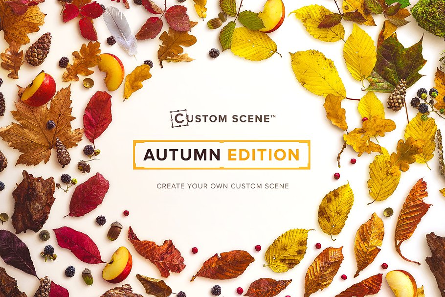 秋天主题场景样机设计素材包[2.39GB] Autumn Edition – Custom Scene