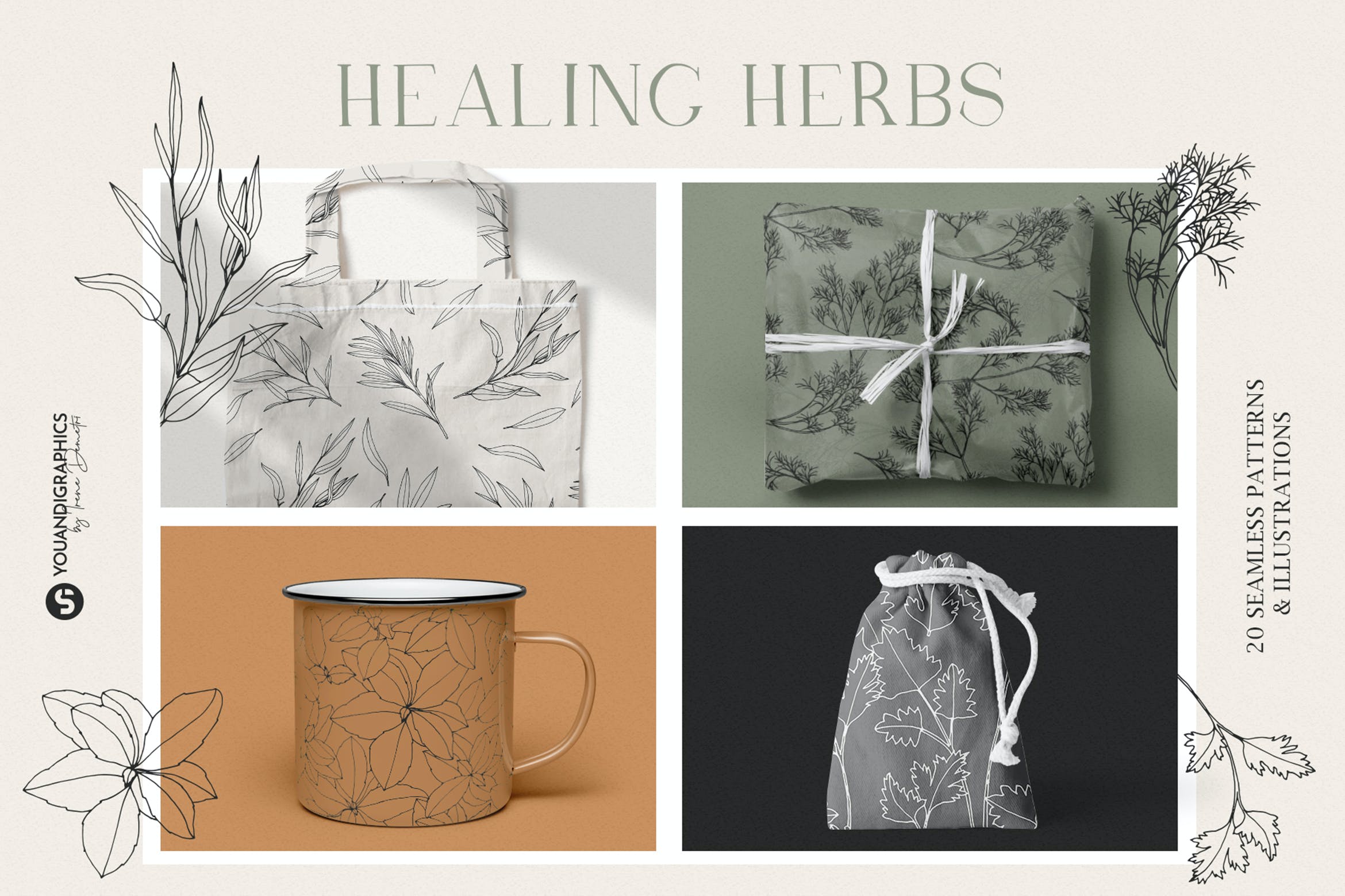 草药无缝矢量图案和插画 Herbs Patterns & Illustrations