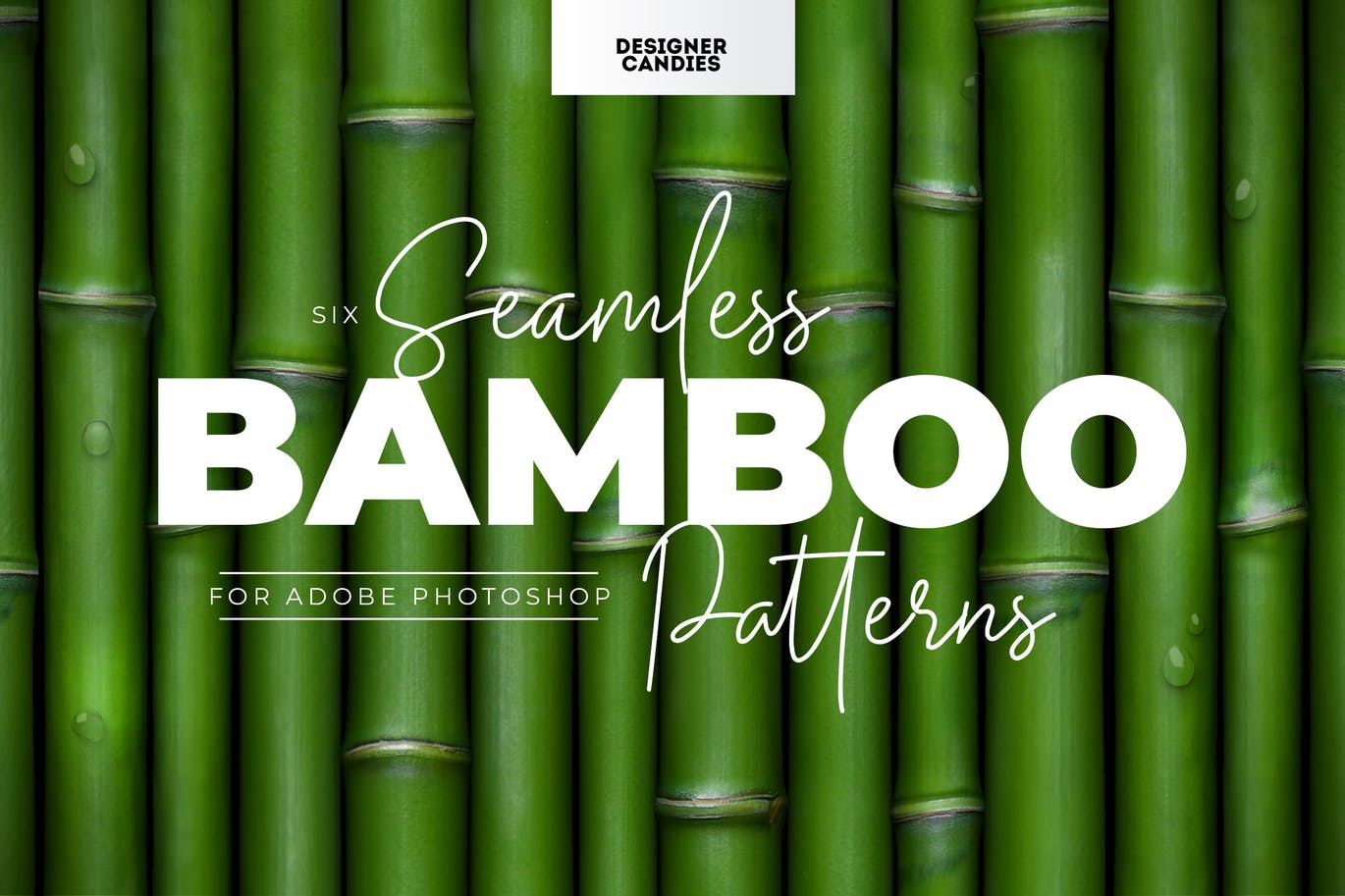 独特的竹子图案素材 Bamboo Patterns