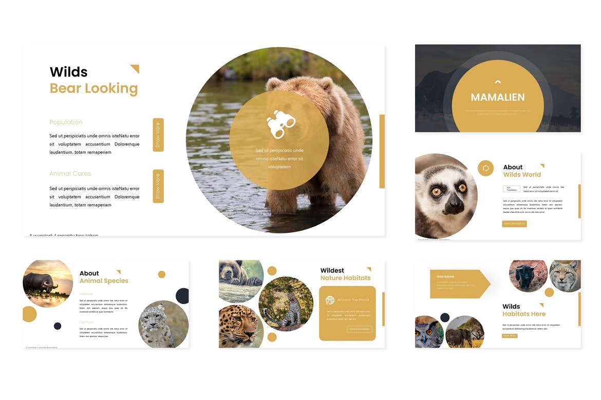 优雅时尚的PPT模板下载[PPTX]