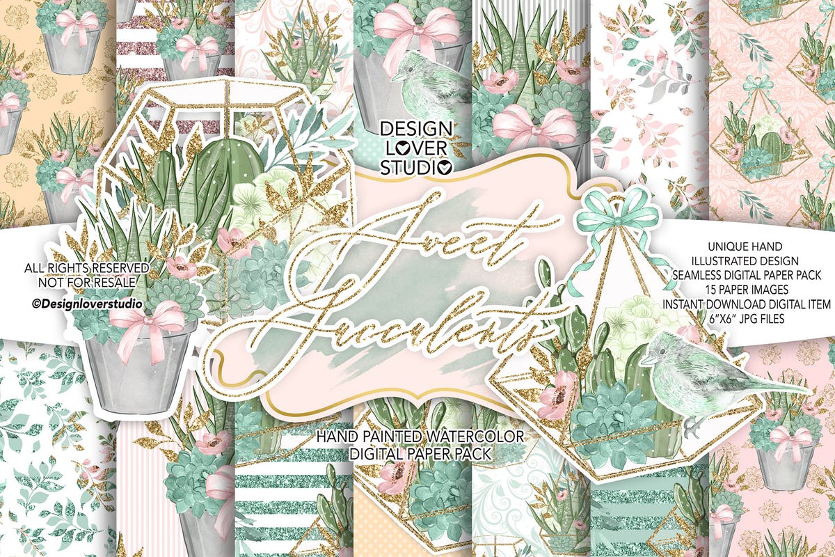 多肉植物主题水彩数码纸图案设计素材 Sweet Succulent digital paper pack