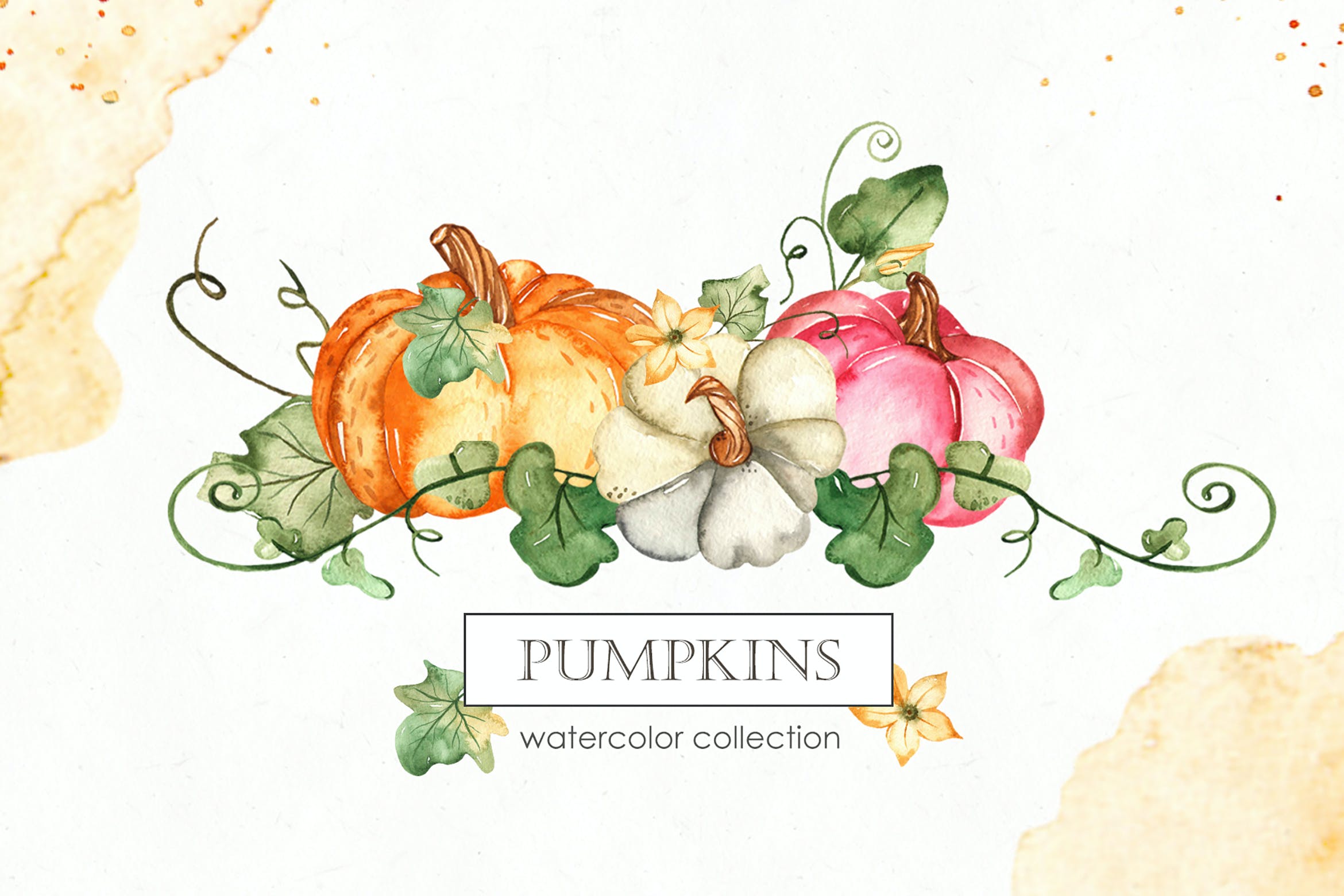 秋季南瓜元素水彩剪贴画&图案素材 Watercolor Pumpkins. Cards, frames, patterns