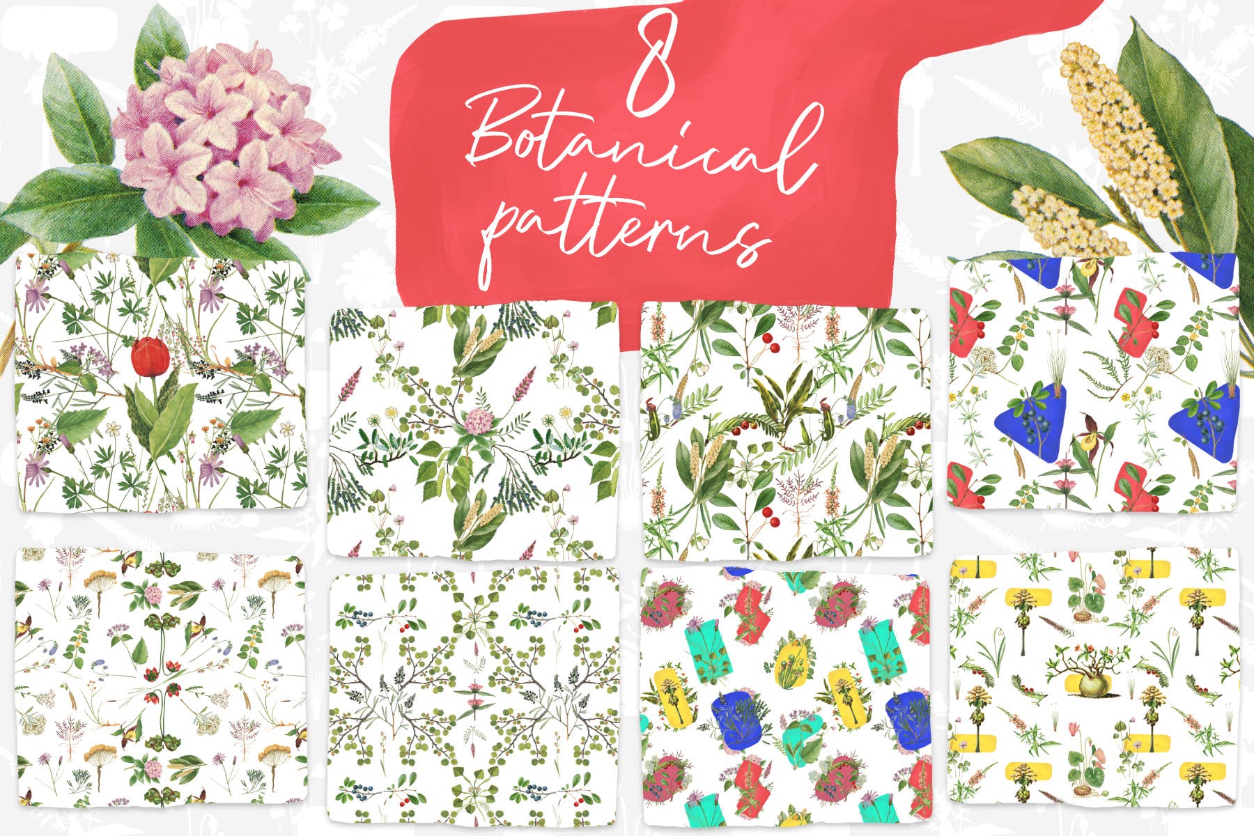 8款复古植物手绘图案背景素材 8 Vintage Botanical Patterns