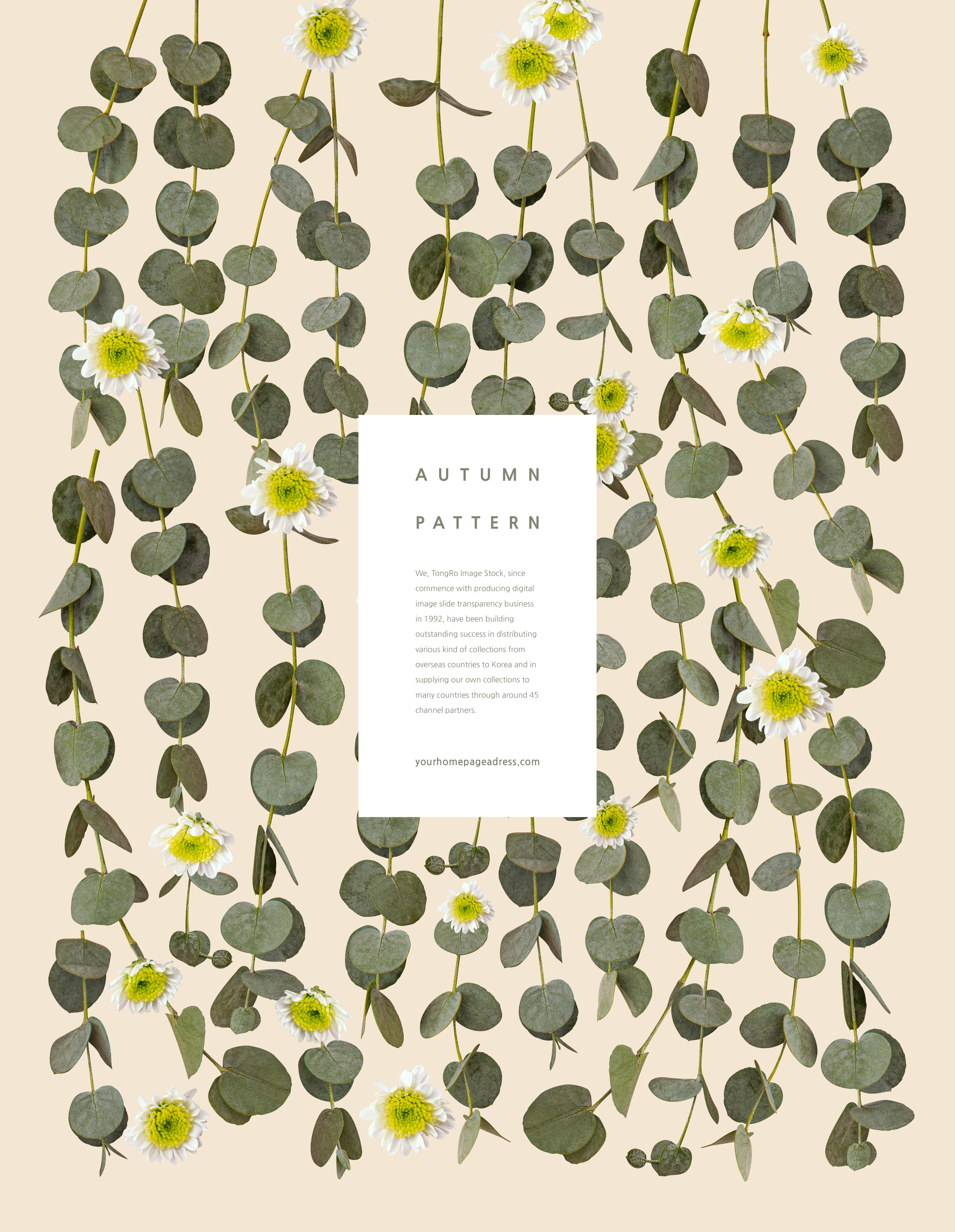 秋季叶子花卉图案素材